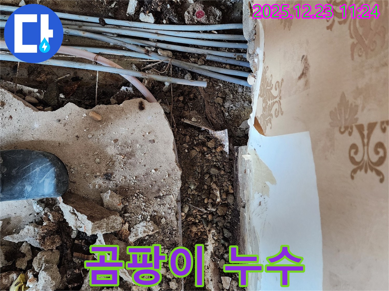 동두천 보산동 누수 - 천장 누수로 인해 곰팡이가 발생했습니다.