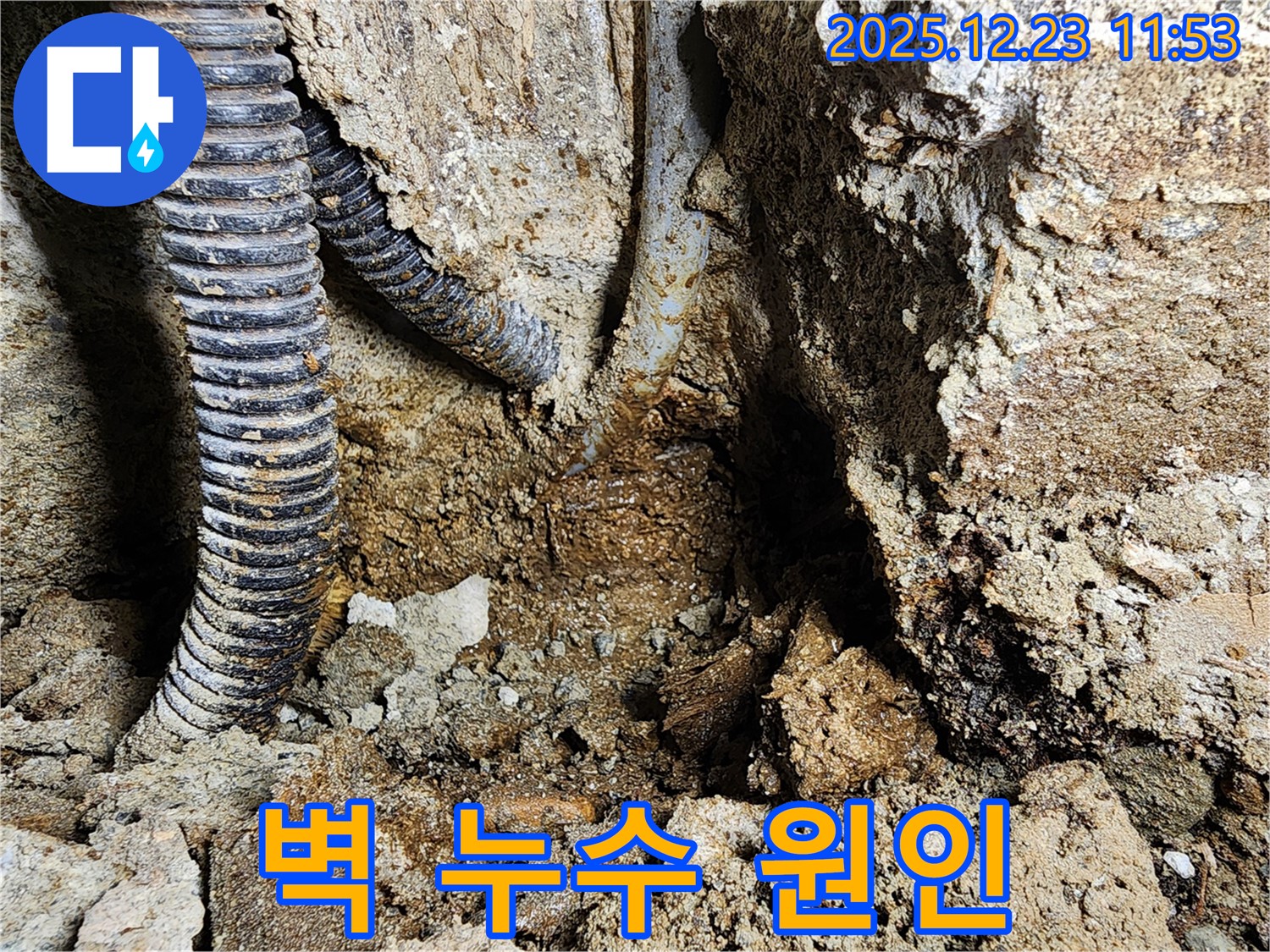 동두천 보산동 - 벽에 스며든 물, 누수 원인을 찾았습니다! - 이제 곰팡이 걱정 없이 쾌적하게!