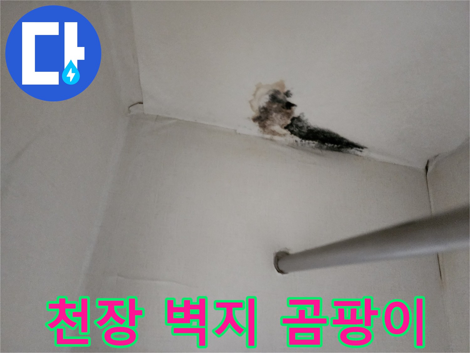 물샘으로 인해 검게 변한 천장 모서리 부위