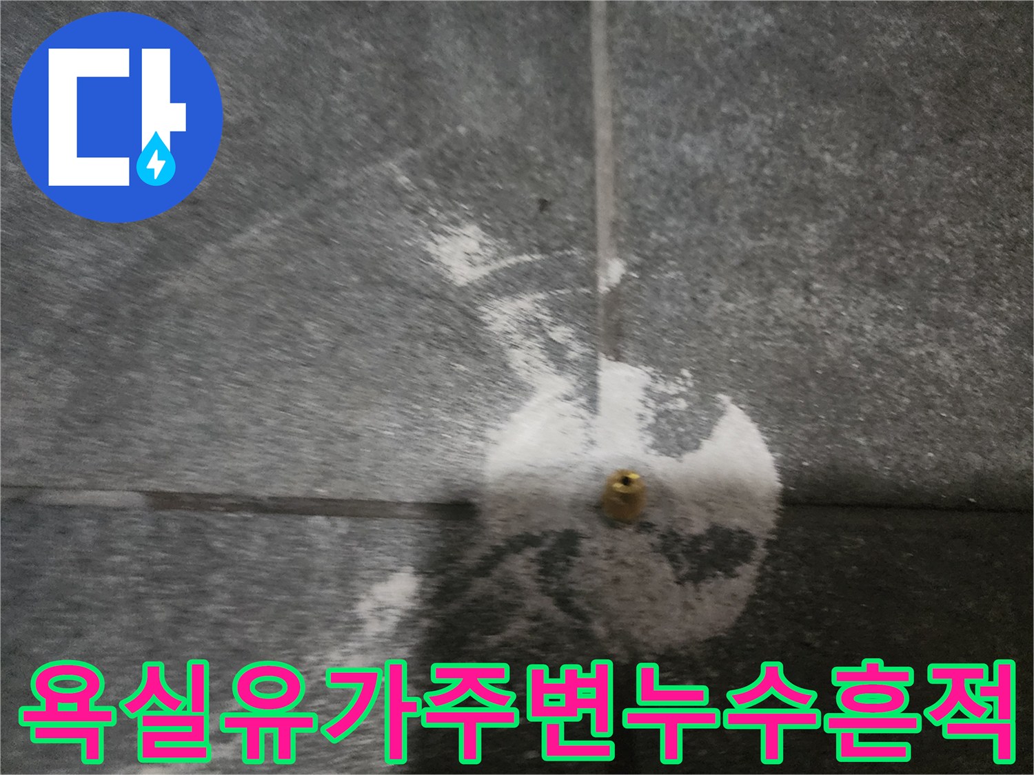 배수구 주변 타일 사이의 백시멘트 탈락과 균열된 상태를 촬영한 사진입니다.