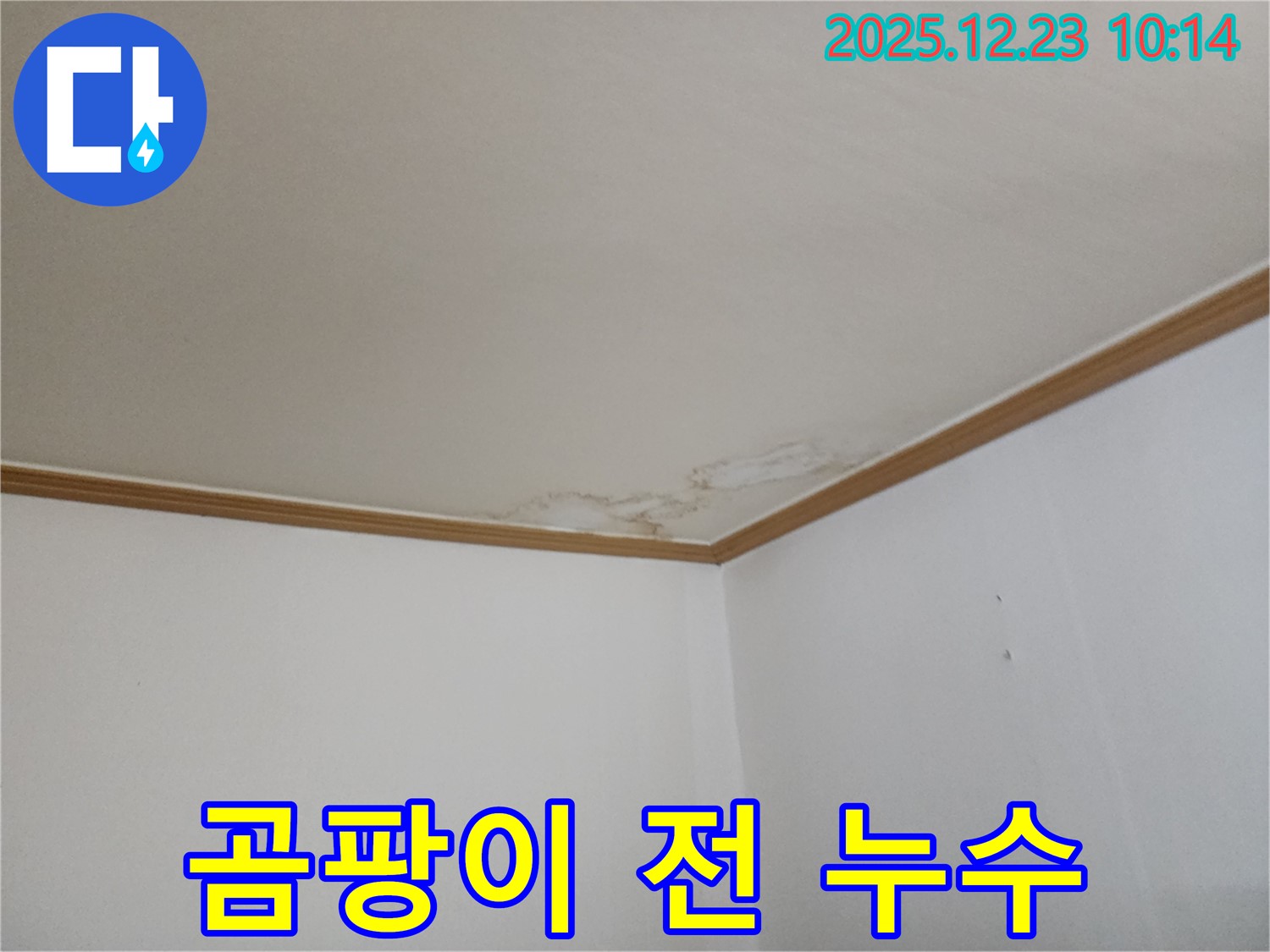 양주시 고암동 - 곰팡이 발생 전 천장 누수 긴급 진단, 초기 대응 중요