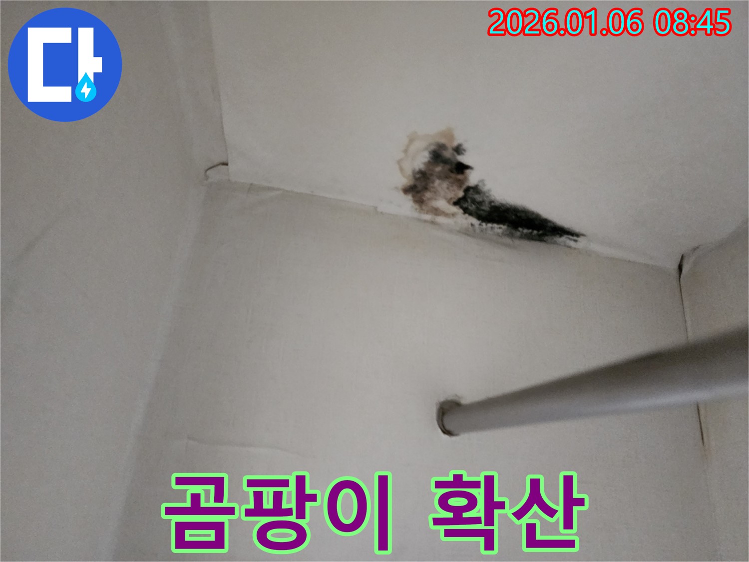 양주시 벽 모서리 누수 - 곰팡이가 넓게 퍼져있는 모습