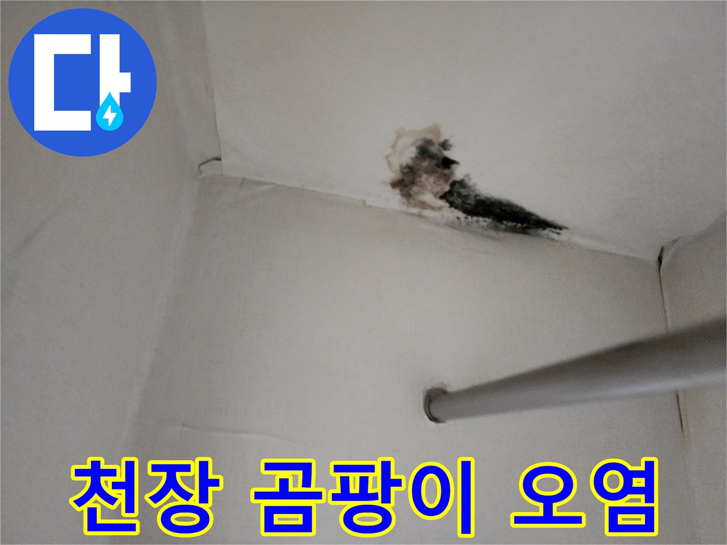 천장 마감재 부위-습기로 인해 발생한 검은색 곰팡이 흔적