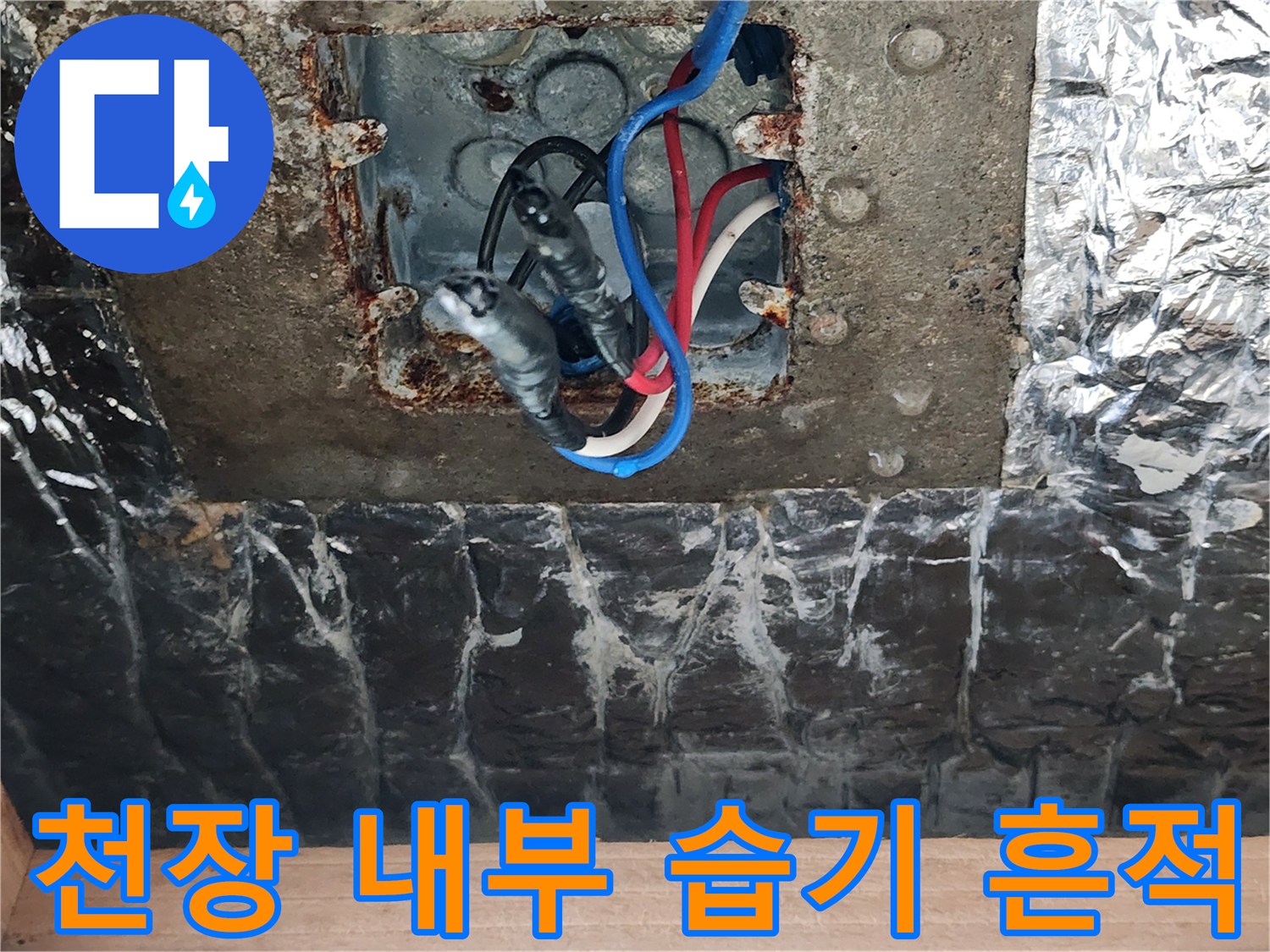 습기로 인해 눅눅해진 천장 배선 함체와 전선들