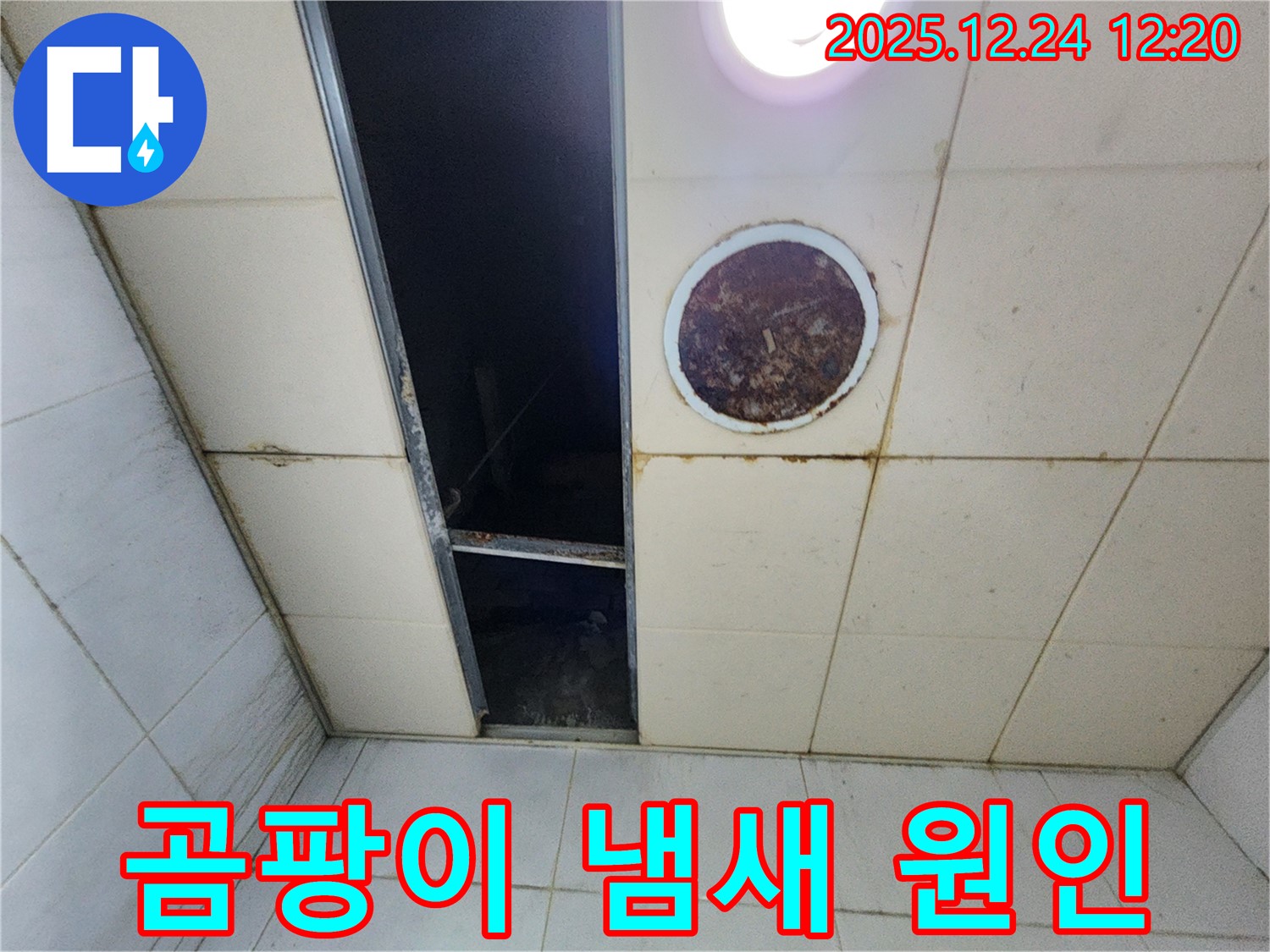 노원구 화장실 천장 누수 곰팡이 냄새 - 곰팡이가 핀 천장 사진입니다 - 건강에 해로울 수 있습니다.