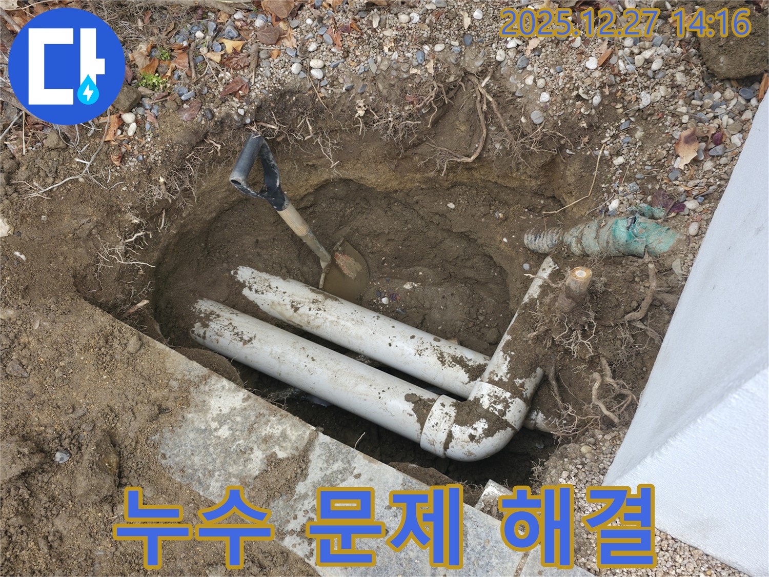 백현동 32번길 정원 누수 현장 - 누수 문제를 완벽하게 해결하여 고객님의 만족을 최우선으로 생각합니다.