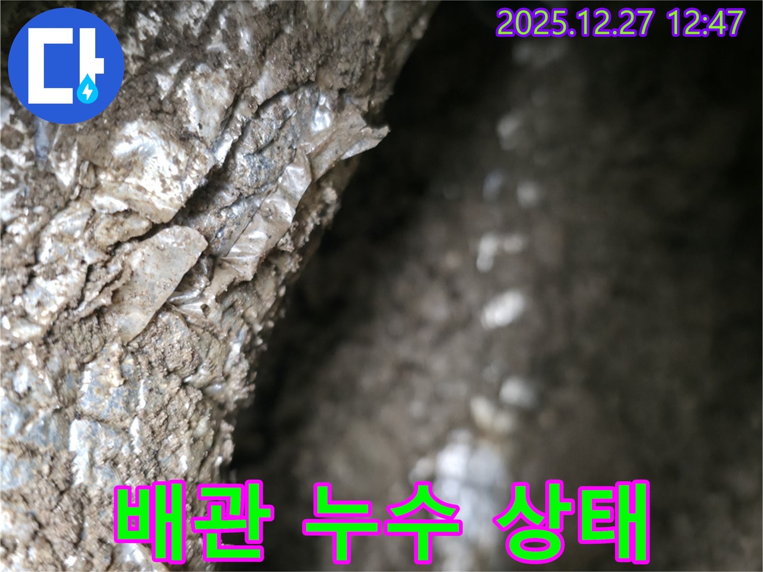 분당 판교 누수 현장에서 배관 누수 상태를 확인 중 - 노후된 배관은 누수의 주범! 꼼꼼한 점검으로 문제점을 찾아냅니다.
