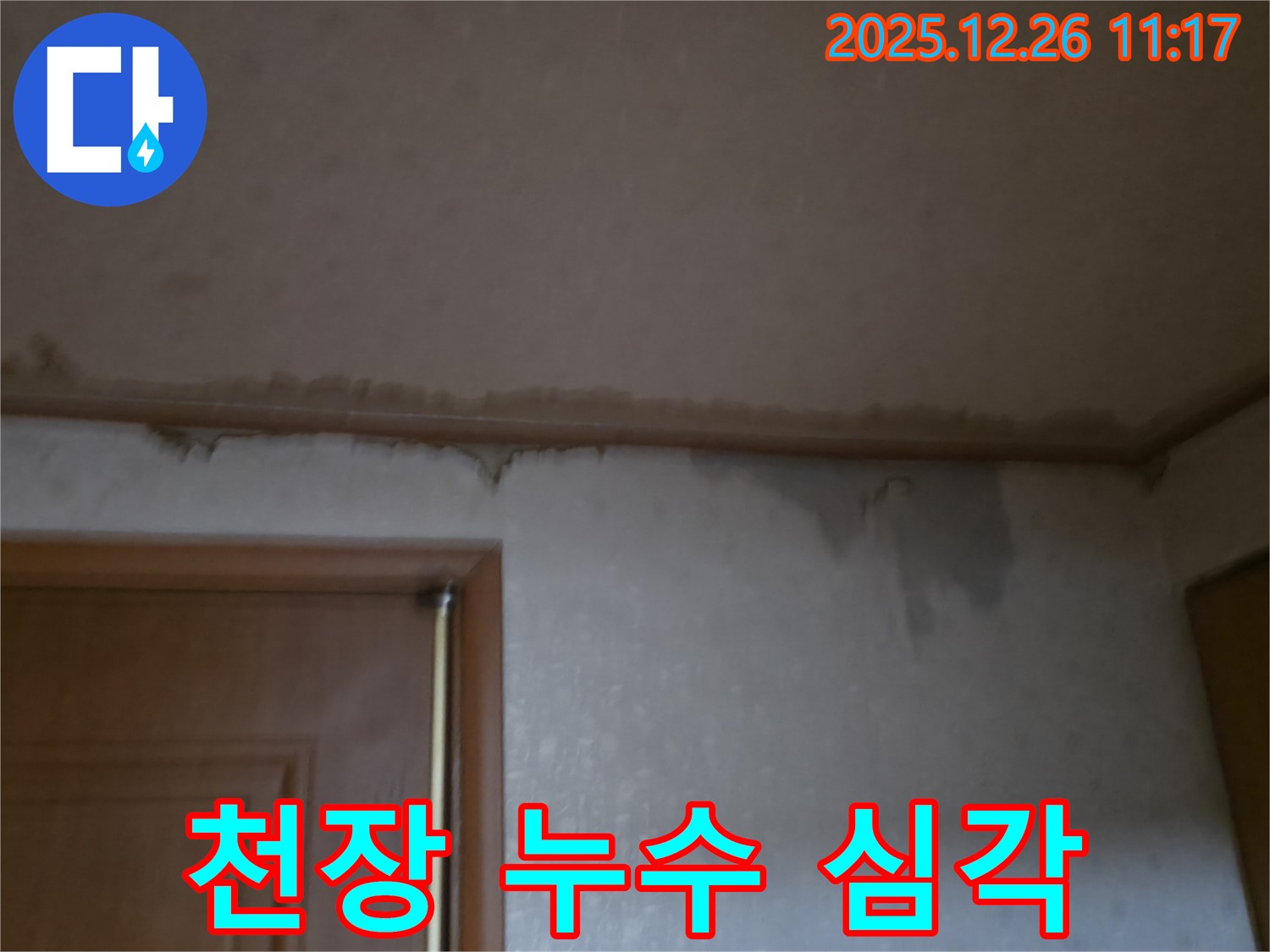 일산동구 백석동 아파트 천장 누수 - 심각한 누수 상태