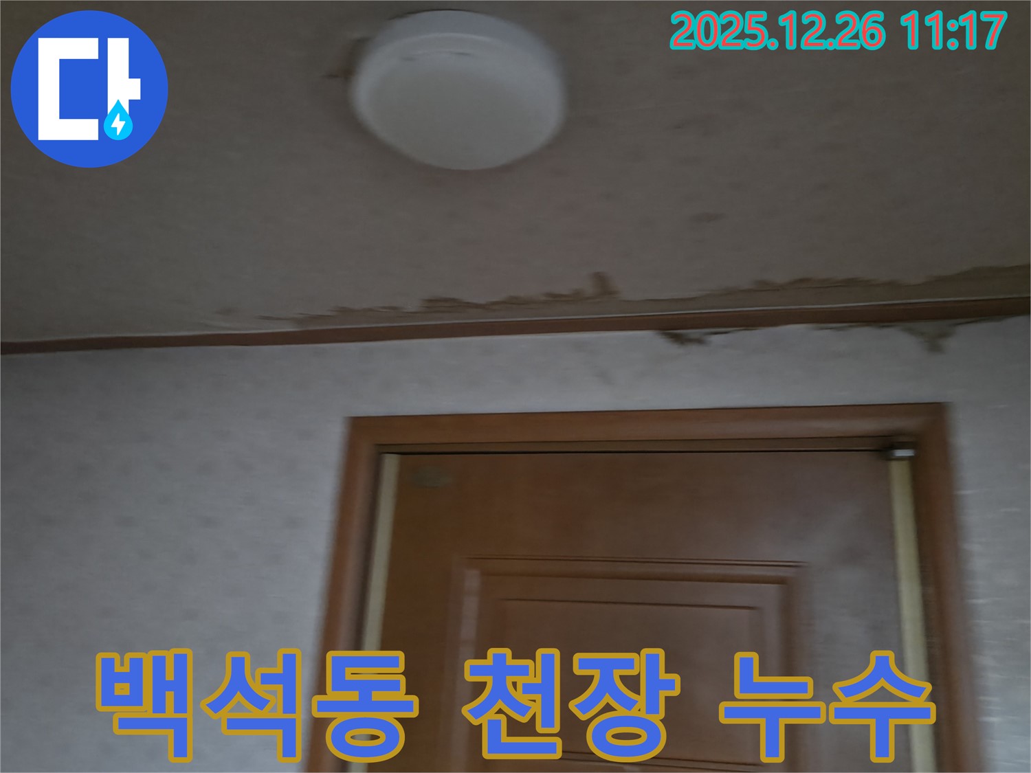 일산동구 백석동 천장 누수 - 전문 누수탐지 업체의 정확한 진단과 해결