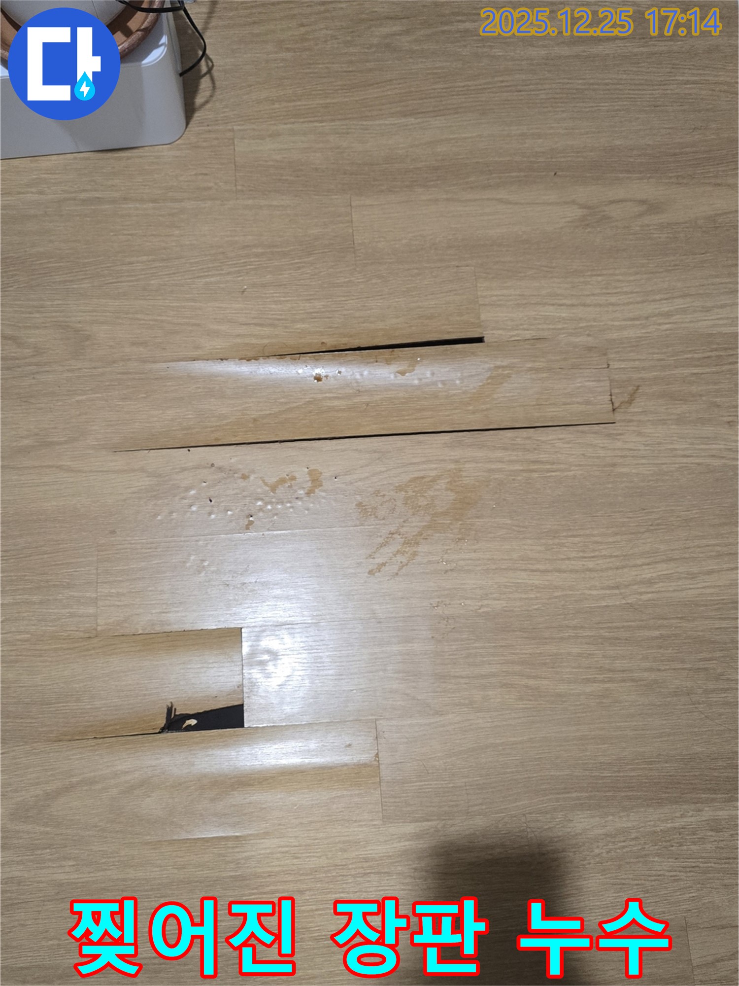 남양주 누수 현장 - 찢어진 장판 틈새로 스며나오는 누수, 누수 진행 상황 확인