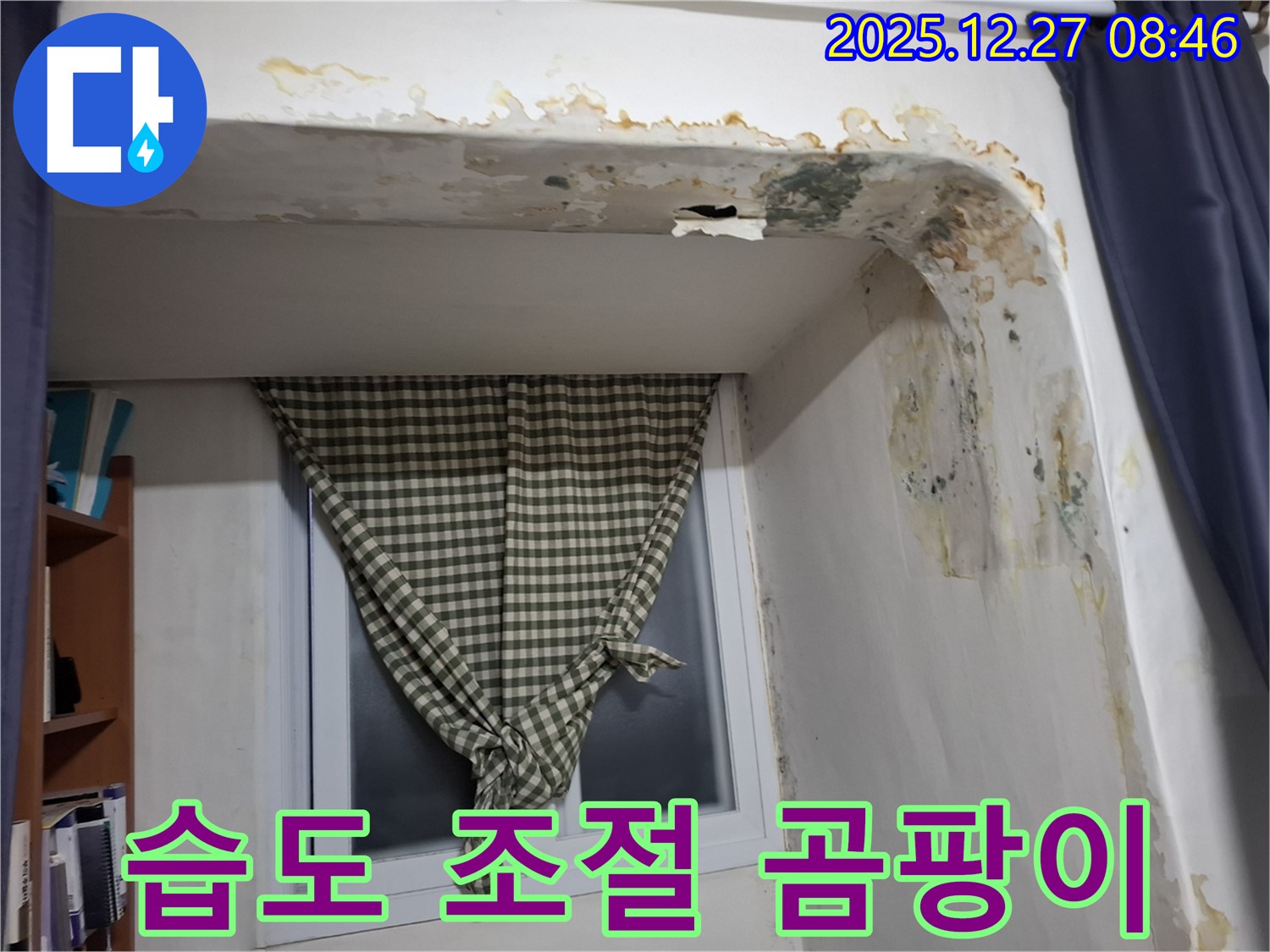 가락동 - 곰팡이 제거 후 습도 조절 시스템 설치로 쾌적한 실내 유지