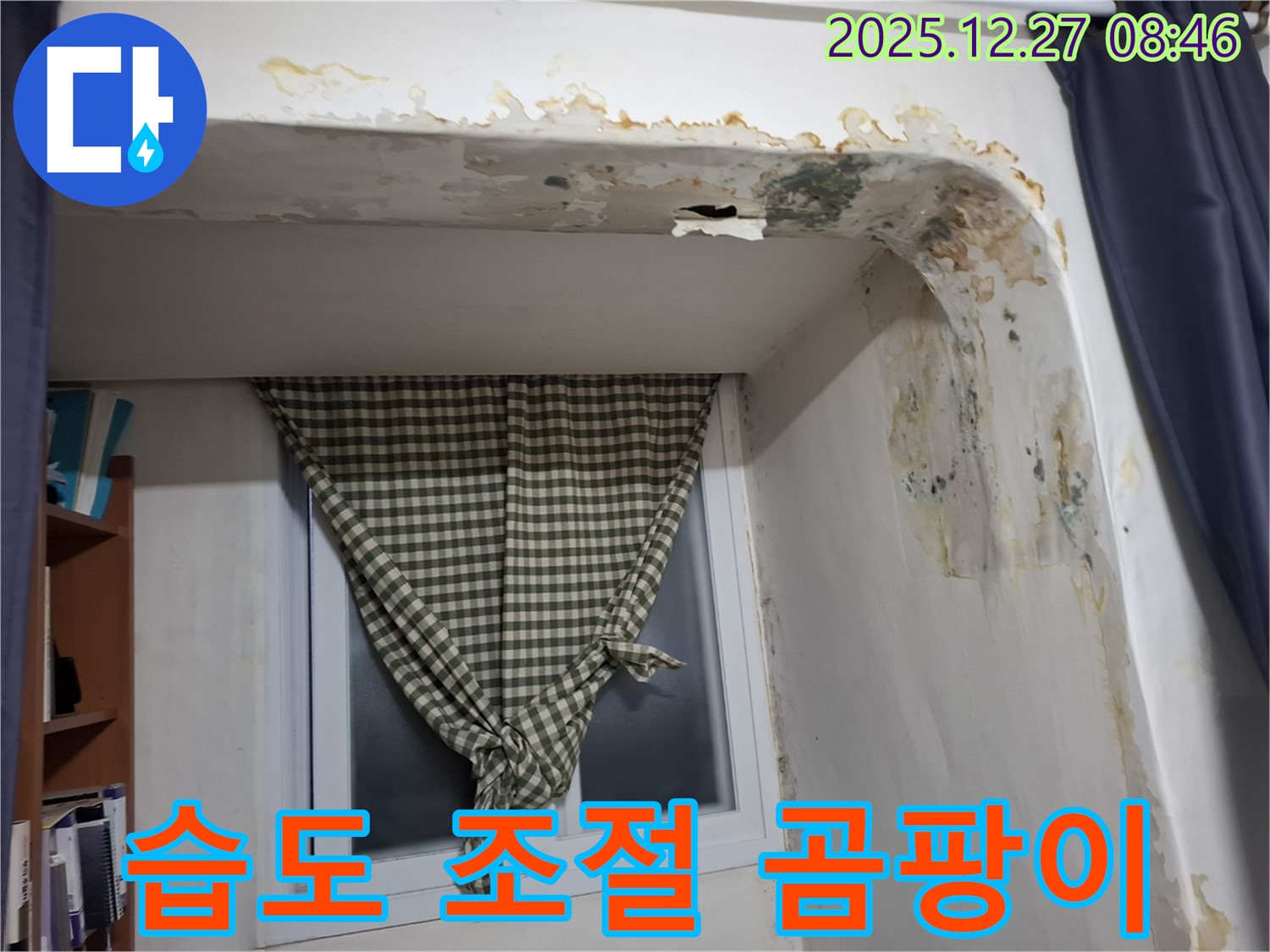 가락동 - 곰팡이 제거 후 습도 조절 시스템 설치로 쾌적한 실내 유지