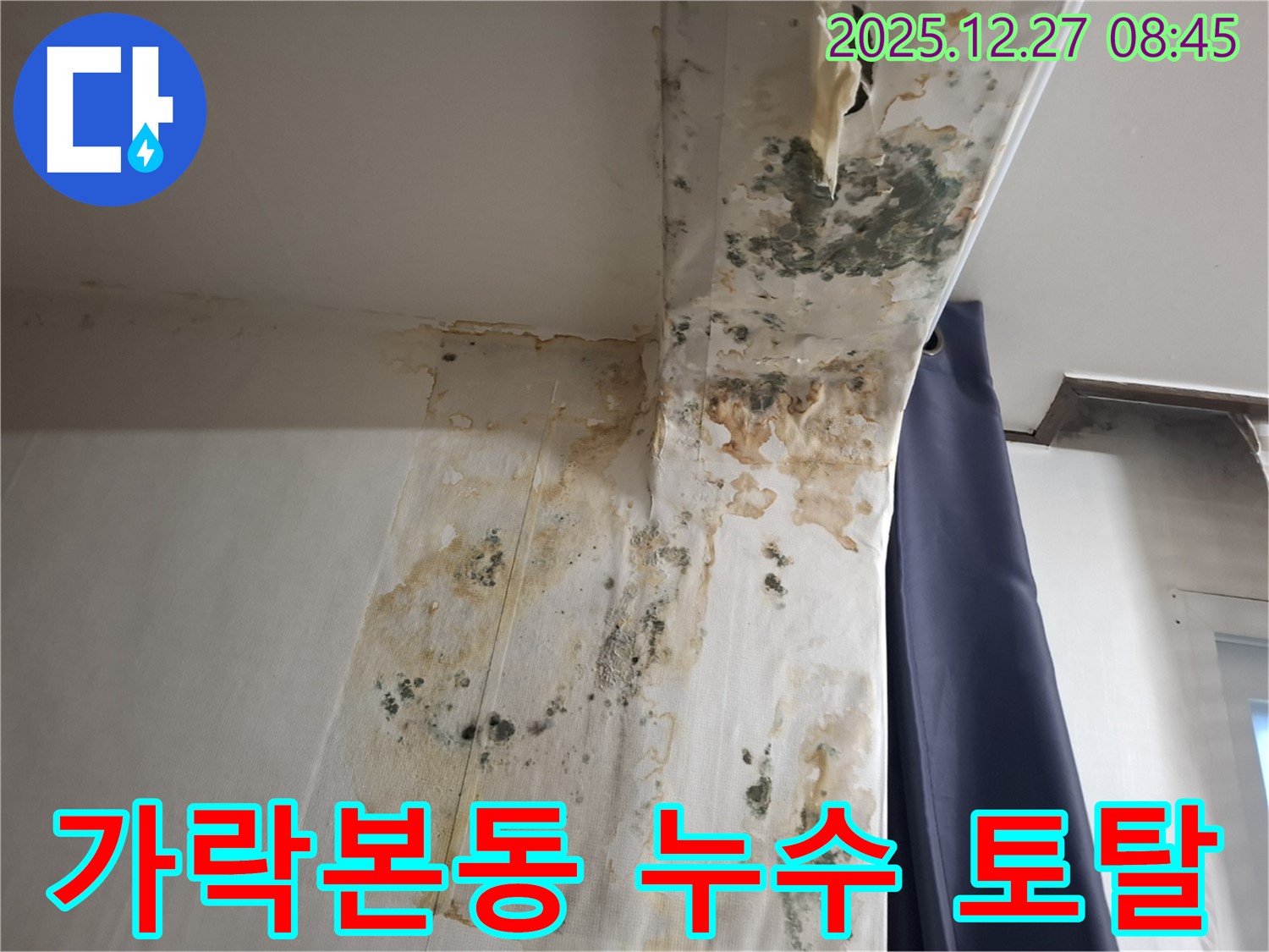 가락본동 누수 현장 - 곰팡이 문제 해결 및 재발 방지 토탈 솔루션, 누수탐지 전문가의 완벽한 케어