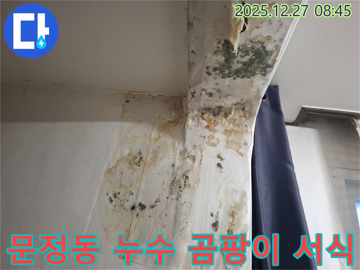 문정동 누수 현장 - 곰팡이 서식 환경 차단 시공, 누수탐지 전문가의 철저한 예방