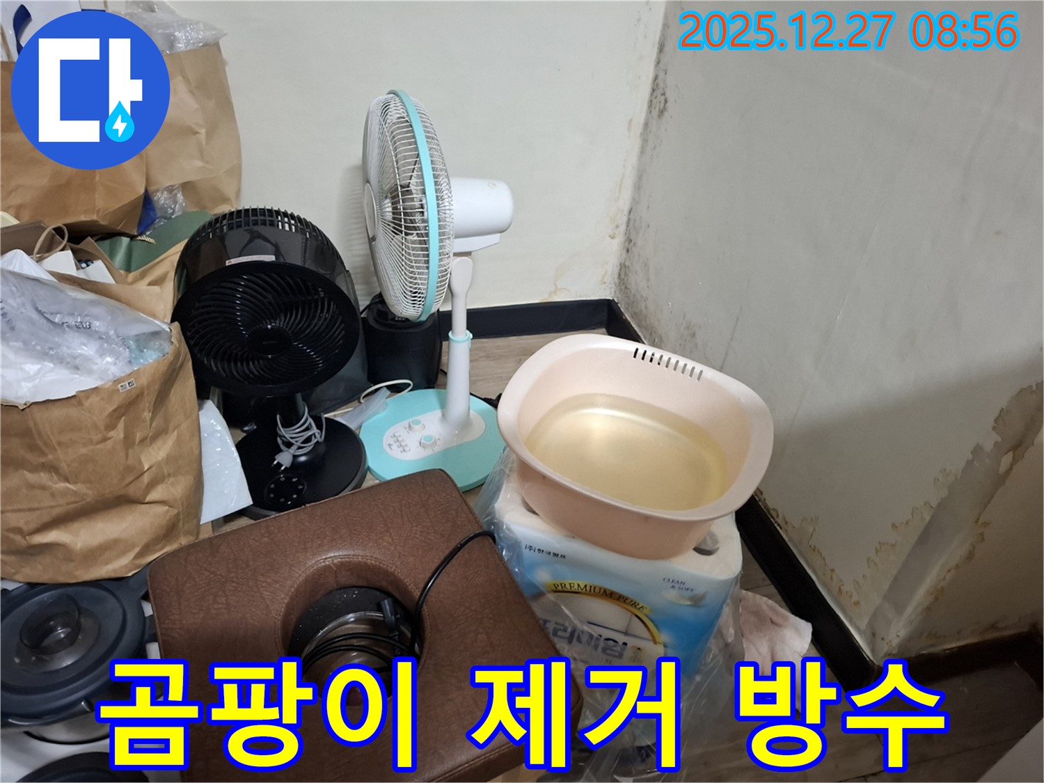 삼전동 누수 공사 현장 - 곰팡이 제거 후 방수 작업을 하는 모습입니다 - 완벽한 마무리를 위한 필수 과정.