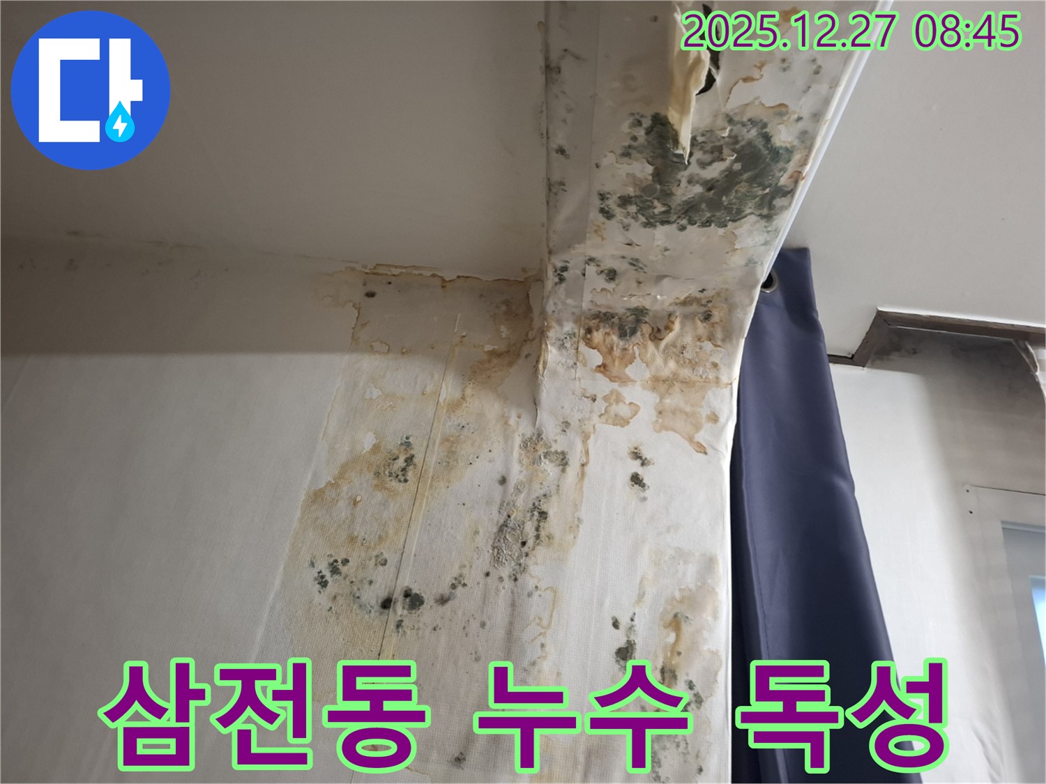삼전동 누수 현장 - 곰팡이 독성 물질 제거 작업, 누수탐지 전문가의 안전 시공