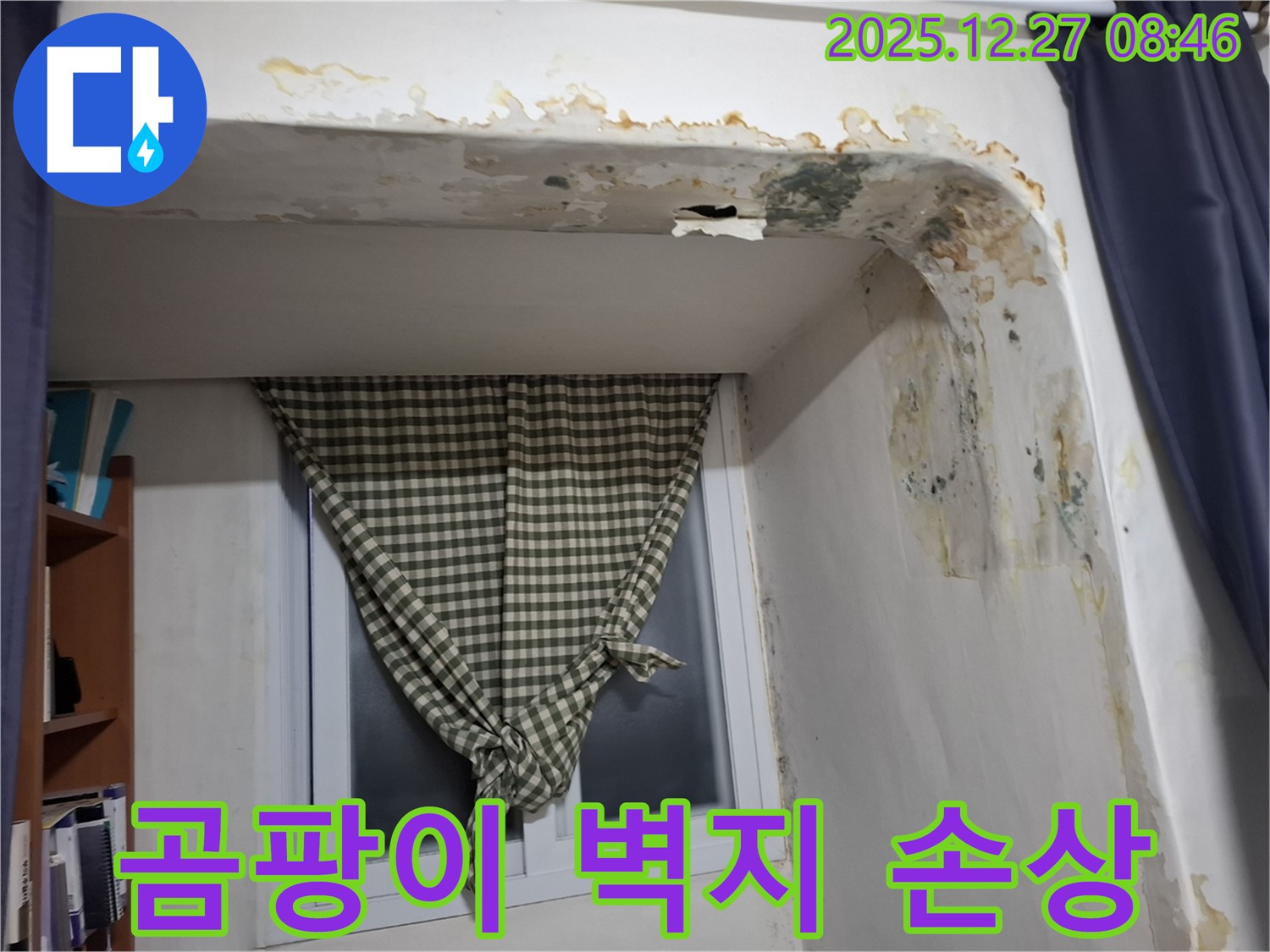 송파구 삼전동 - 곰팡이 발생 및 벽지 손상으로 인한 누수 의심