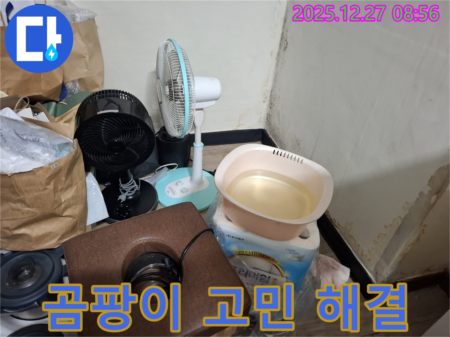 송파구 삼전동 누수 현장 - 곰팡이 문제로 고민하는 고객에게 상담을 제공하는 모습입니다.