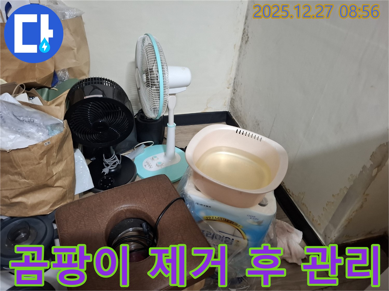 송파구 삼전동 누수 현장 - 곰팡이 제거 후, 어떻게 관리해야 할까요? - 꾸준한 관리가 중요합니다.