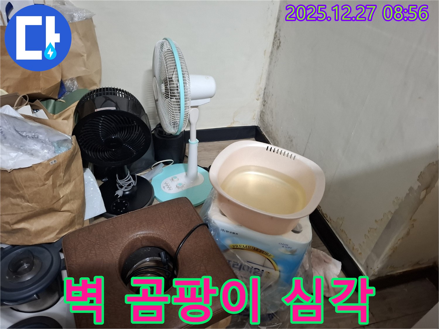 송파구 삼전동 누수 현장 - 벽 곰팡이, 벽지 뜯어보니 더 심각하죠? - 곰팡이 뿌리까지 제거해야 합니다.