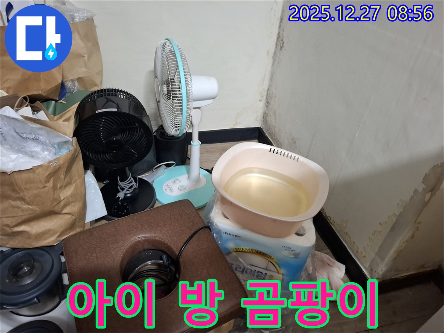 송파구 삼전동 누수 현장 - 아이 방에 곰팡이가 생겼어요! - 아이 건강을 위해 곰팡이 제거가 시급합니다.