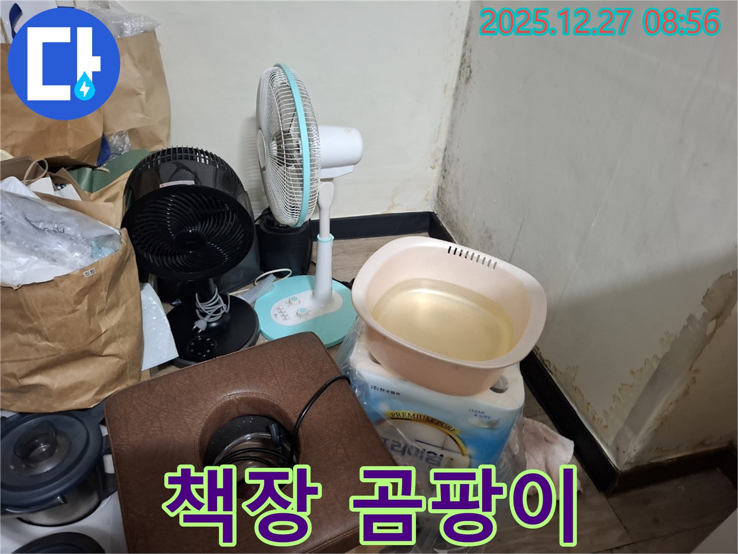 송파구 삼전동 누수 현장 - 책장 곰팡이 - 책에서 퀴퀴한 냄새 - 책장 습도 관리 중요.