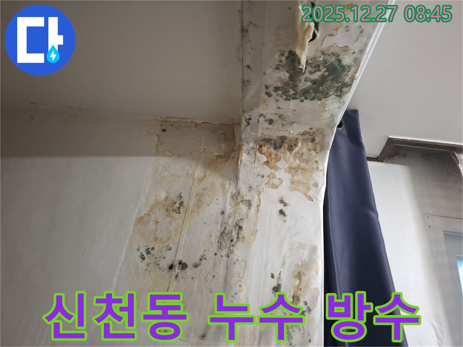 신천동 누수 현장 - 곰팡이 제거 후 완벽한 방수 시공, 누수탐지 전문가의 꼼꼼한 마무리