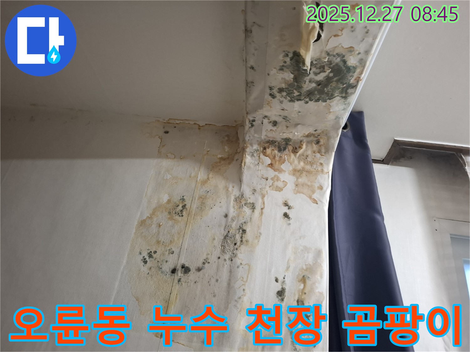 오륜동 누수 현장 - 천장 곰팡이 발생, 누수탐지 전문가의 원인 분석