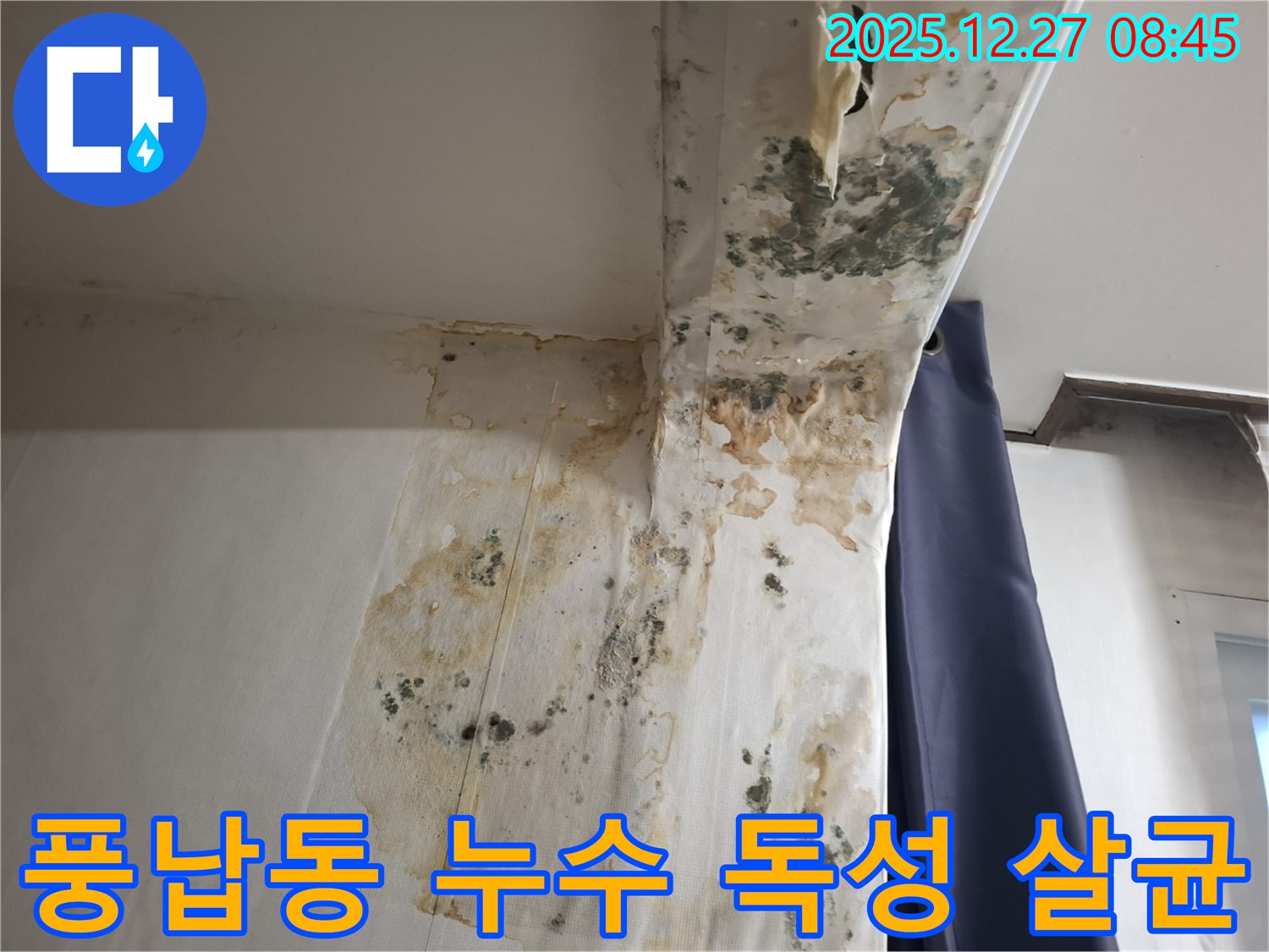 풍납동 누수 현장 - 곰팡이 독성 물질 제거 및 실내 살균, 누수탐지 전문가의 위생적인 시공