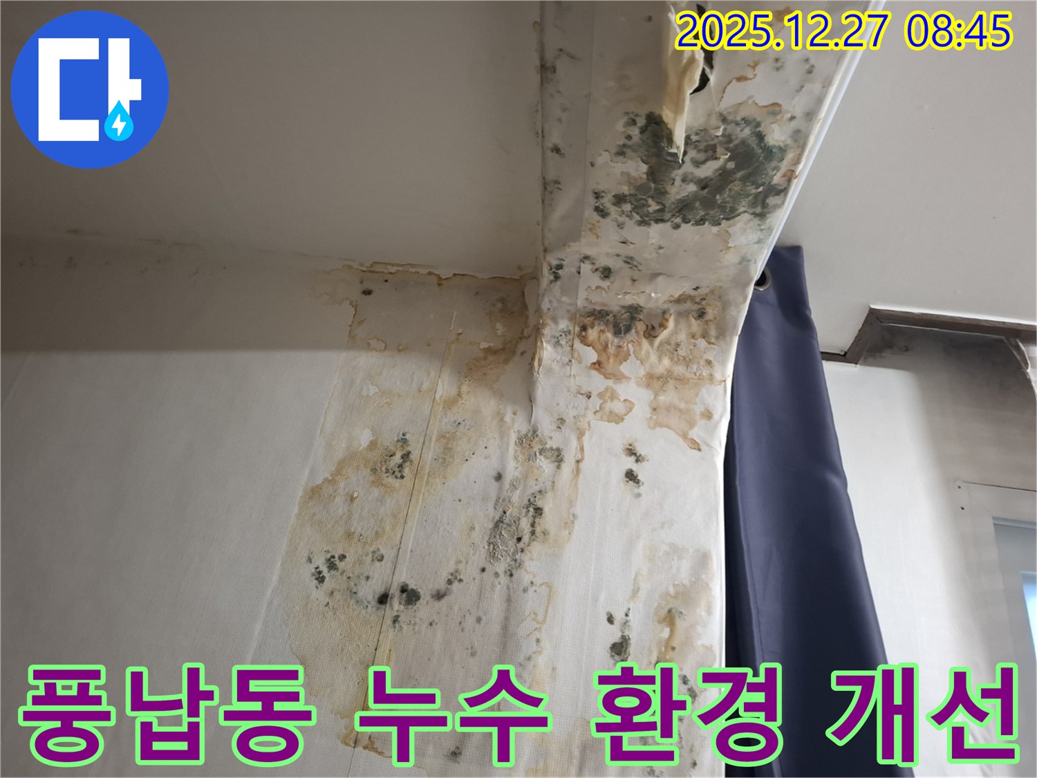 풍납동 누수 현장 - 곰팡이 서식 환경 개선 및 재발 방지, 누수탐지 전문가의 지속 가능한 솔루션