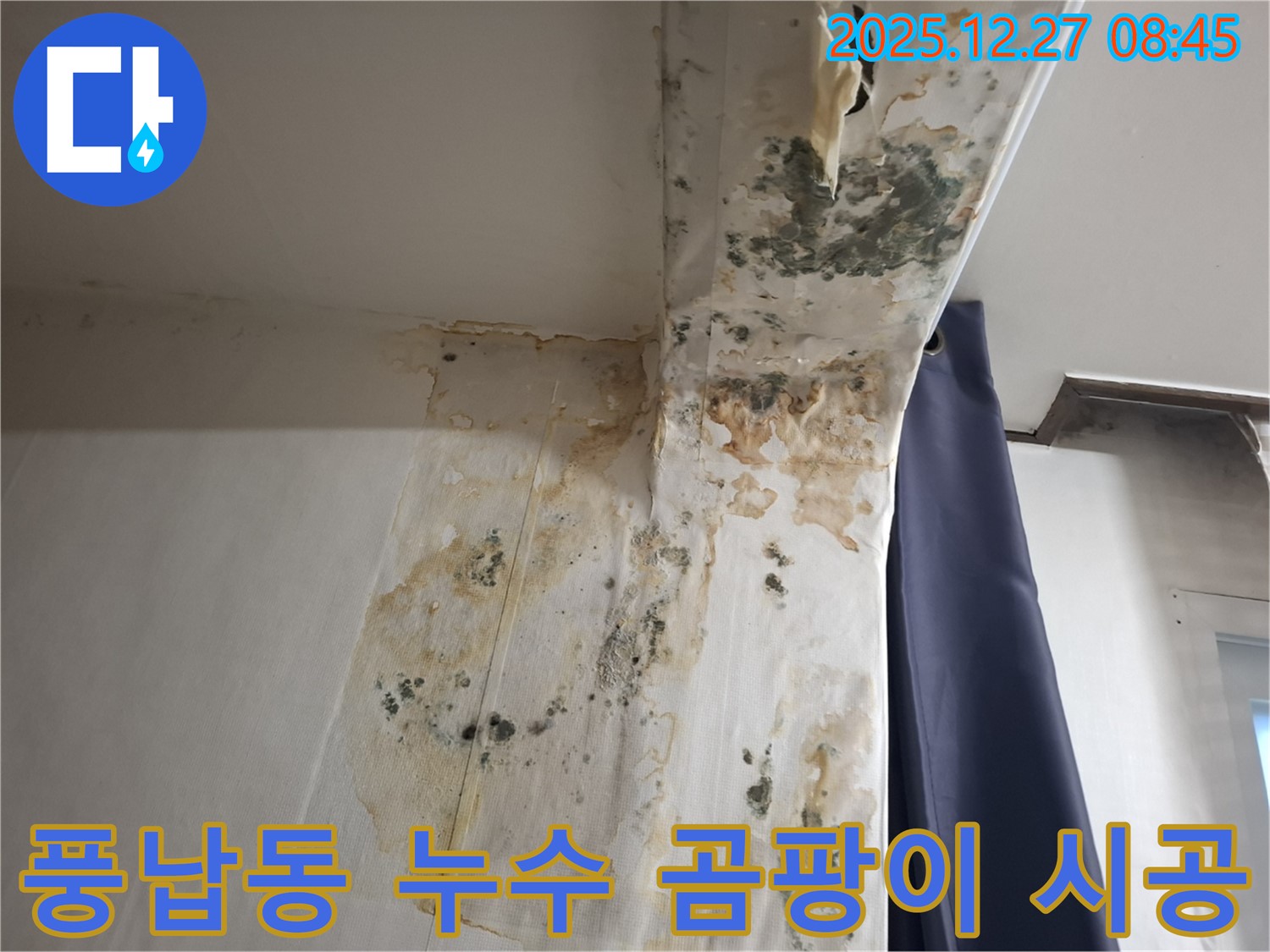 풍납동 누수 현장 - 곰팡이 제거 및 방지 시공, 누수탐지 전문가의 완벽한 마무리