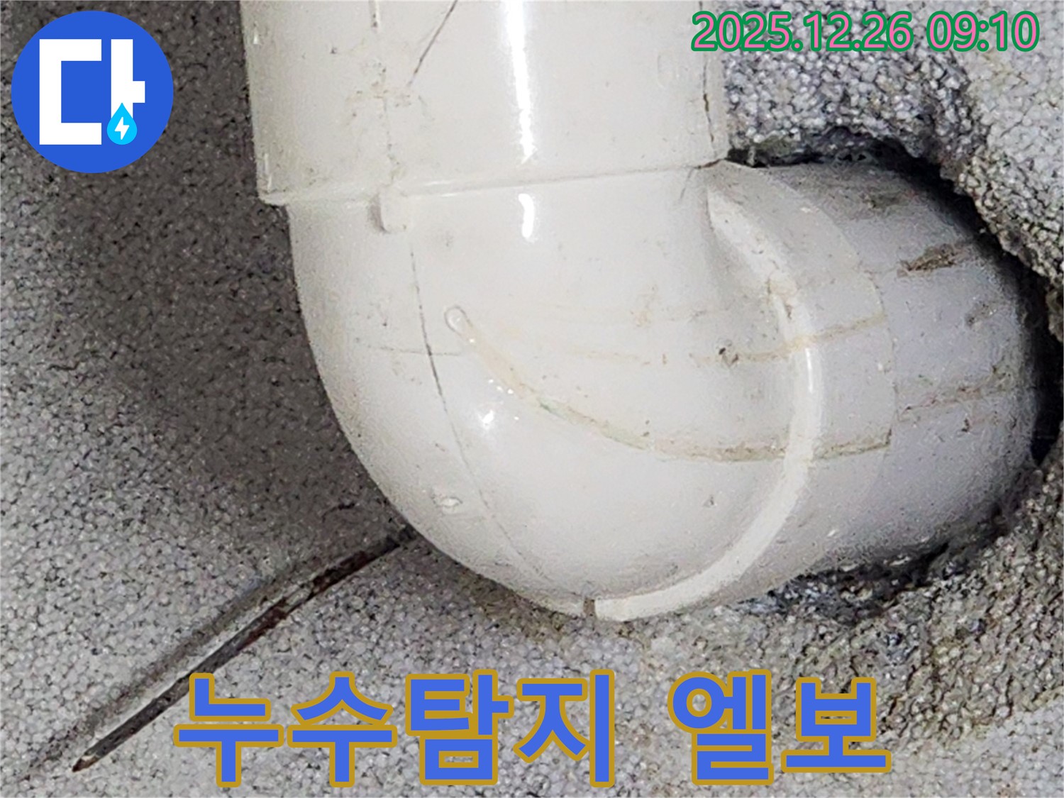상계1동 누수 현장 - 누수탐지 전문가가 꼼꼼하게 누수 원인을 파악하는 모습