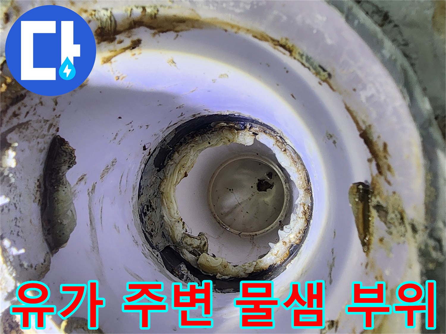 하수구-주변의-오염된-방수층과-배관-노출-부위