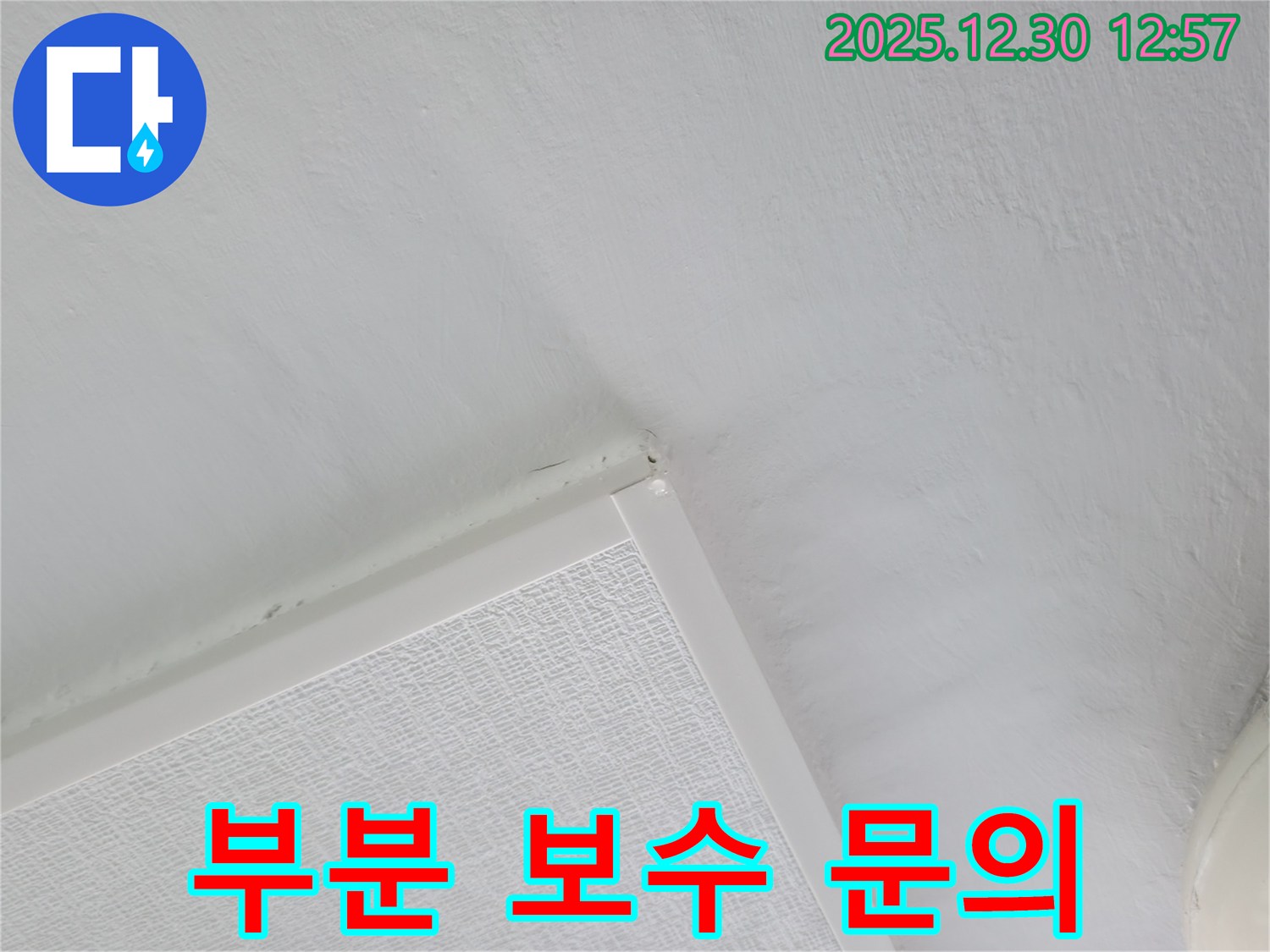 금호동 벽산아파트 천장 누수 - 곰팡이, 부분 보수 가능 여부 문의