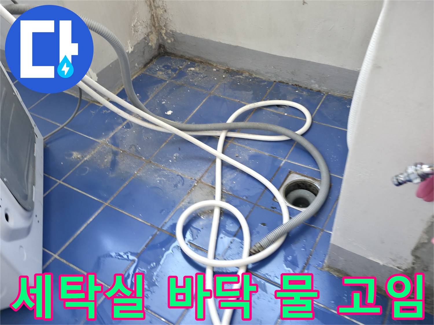 물이 스며들어 젖어 있는 세탁실 타일과 배수구 주변 상황