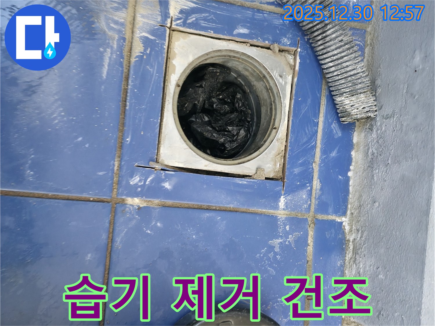 성동구 누수 - 배수구 주변 습기 제거 후 완벽하게 건조 작업 완료
