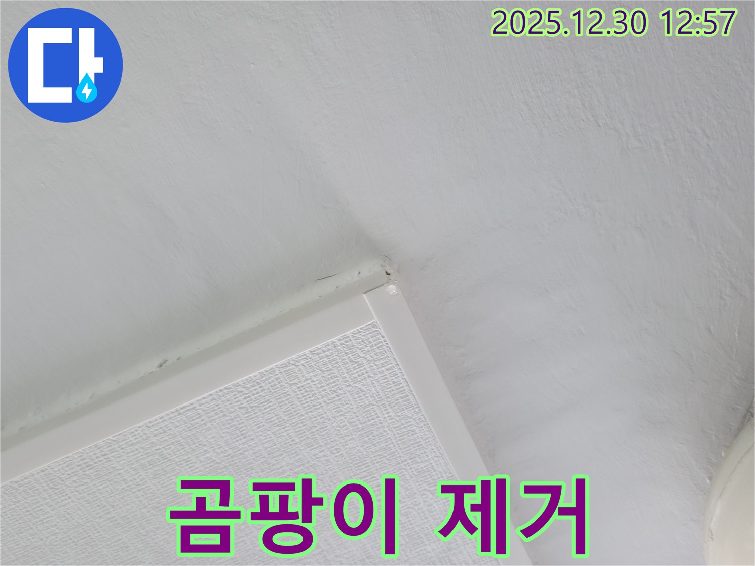 성동구 벽산아파트 누수 - 천장 곰팡이 제거 및 누수 해결 작업