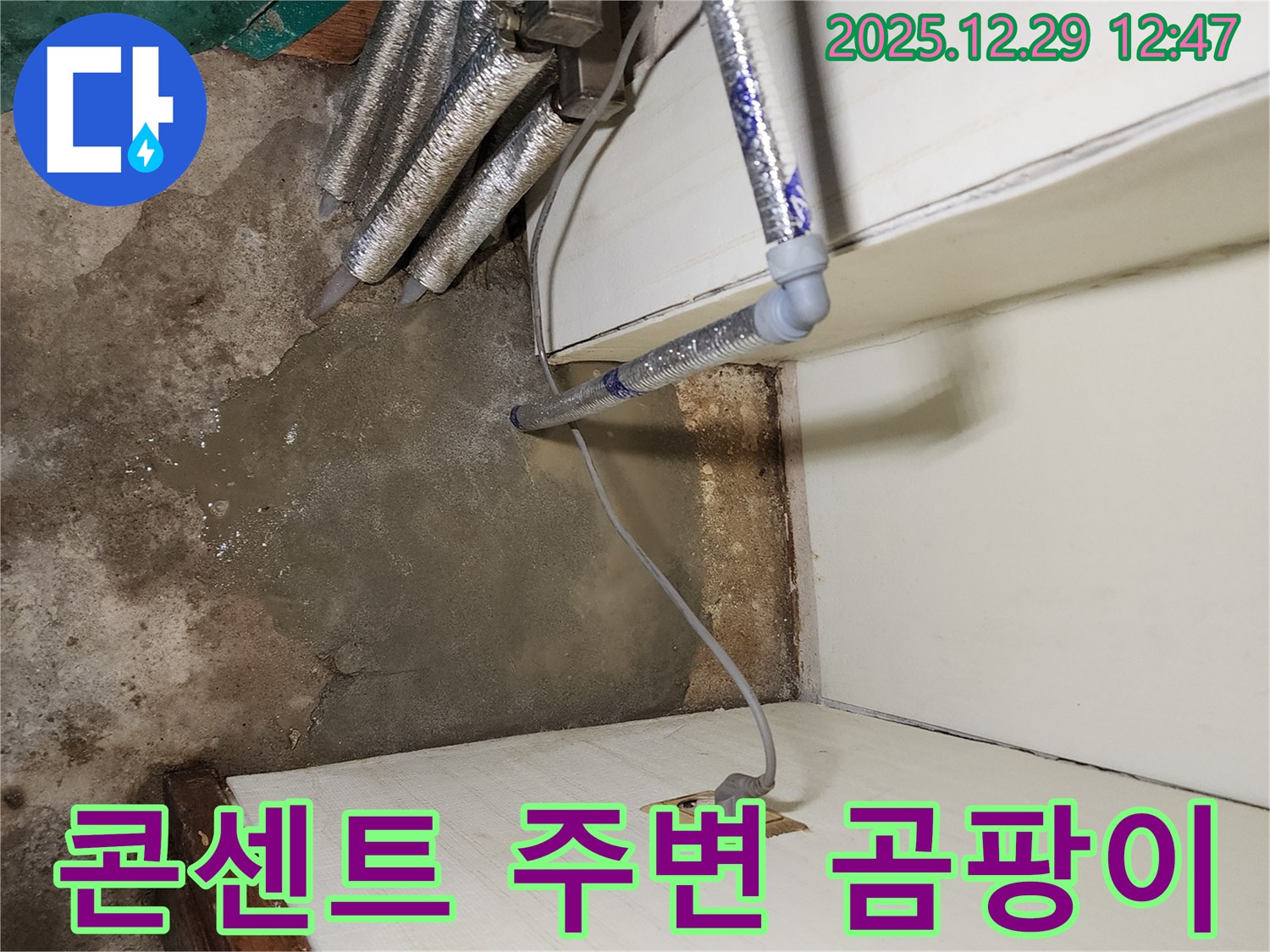 노원구 상계2동 - 콘센트 주변 곰팡이, 누수 의심 전기 합선 주의