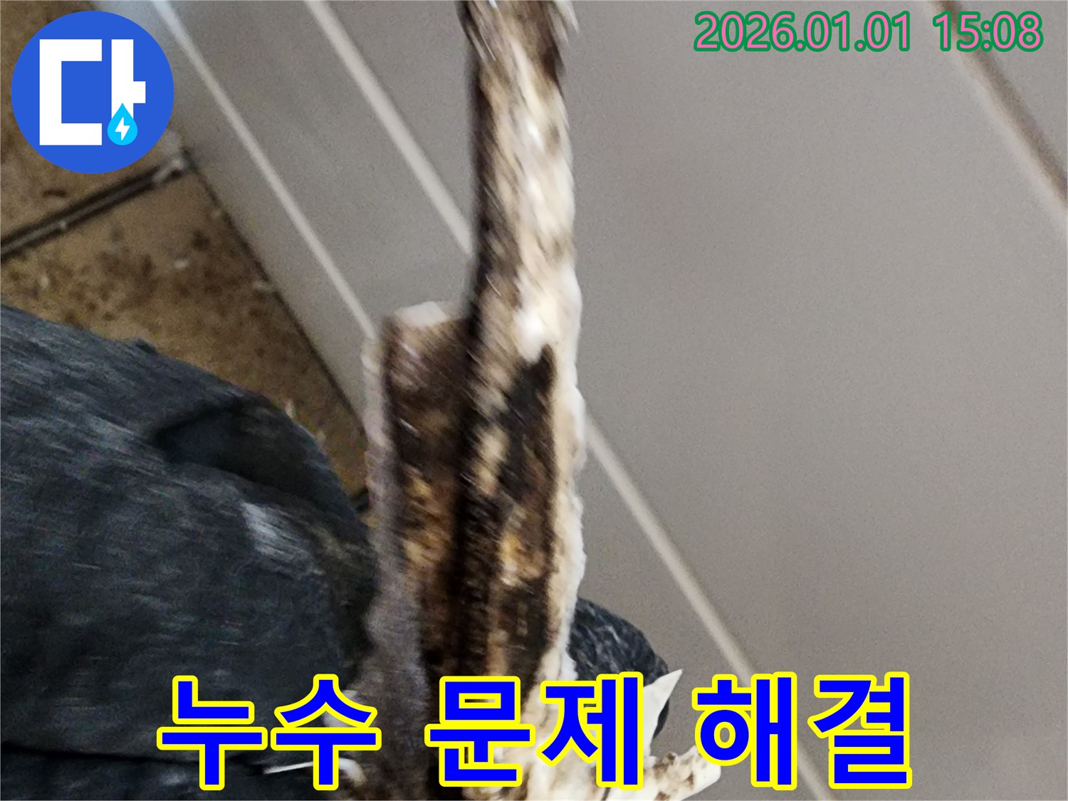 고양시 일산 누수 현장 - 낡은 배관으로 인한 누수 문제를 해결하는 과정을 보여줍니다.