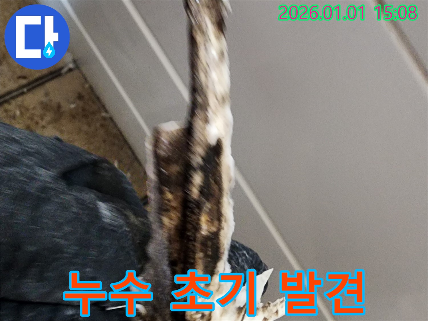 일산 정발산동 누수 현장 - 낡은 배관에서 누수 초기 단계를 발견하고 신속하게 대처하는 모습