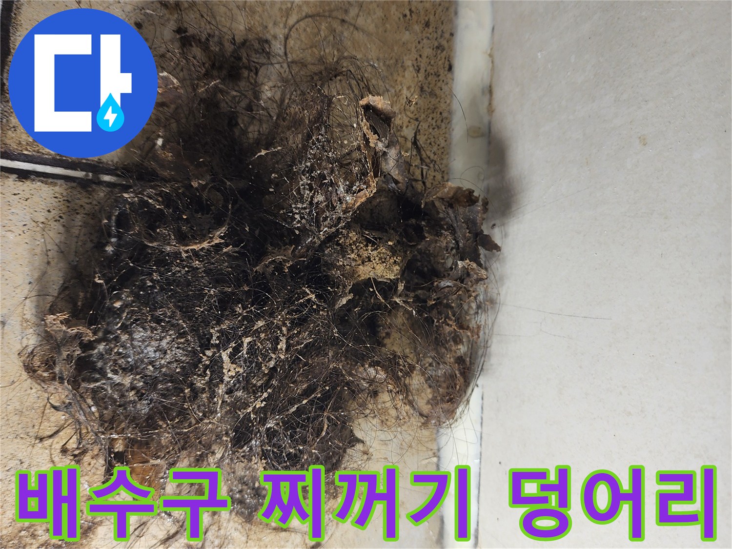 하수구-입구에-쌓여있는-머리카락과-오염된-이물질