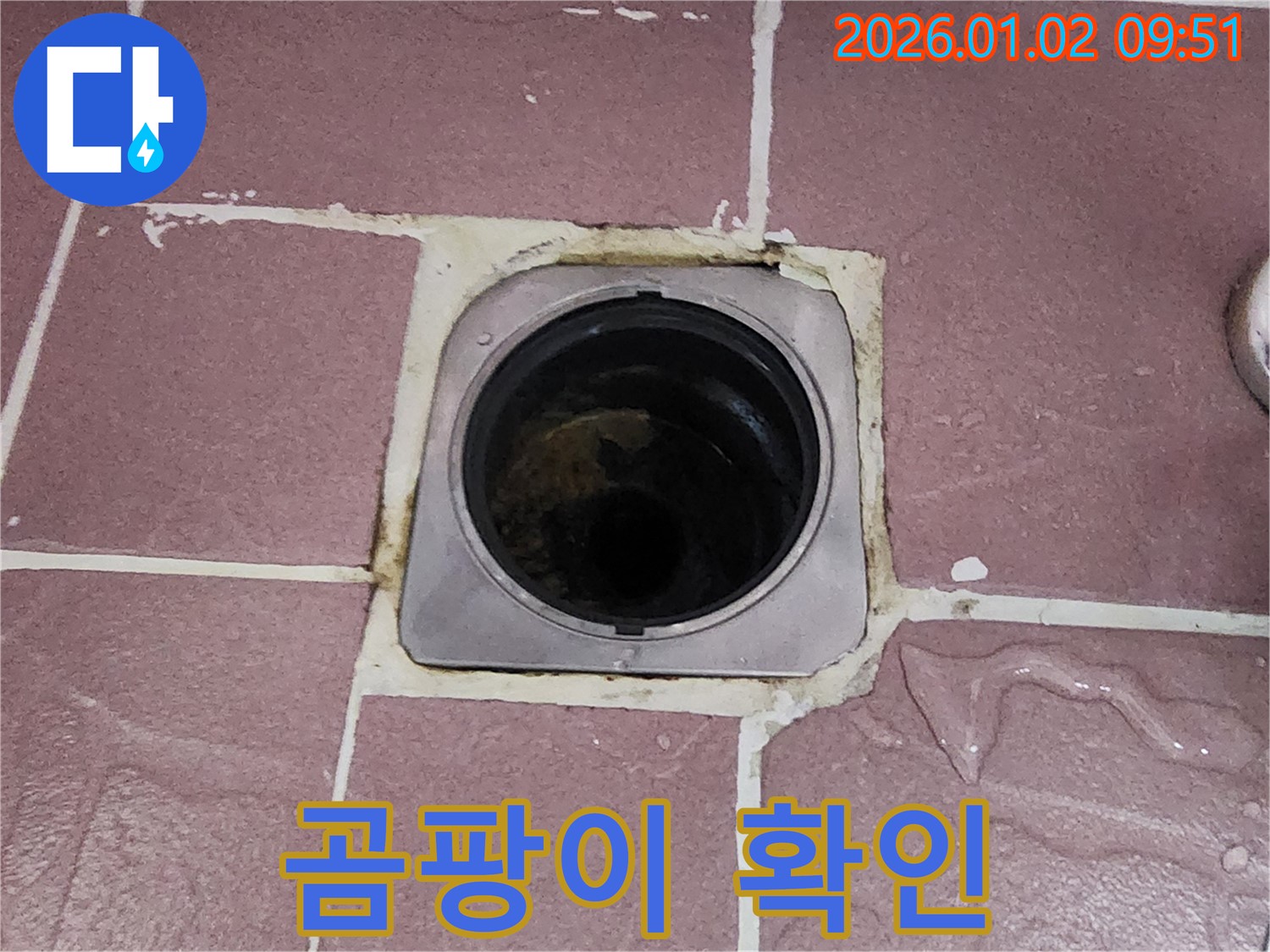 상계9동 욕실 배수구 곰팡이 확인 - 곰팡이가 있는지 꼼꼼하게 확인하고 누수 여부를 점검하세요.