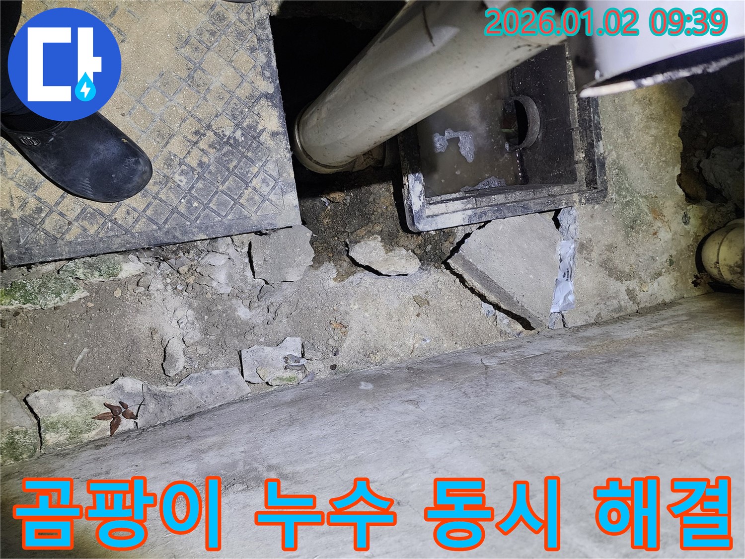 상계9동 하수구 곰팡이 - 누수 해결 - 쾌적한 환경