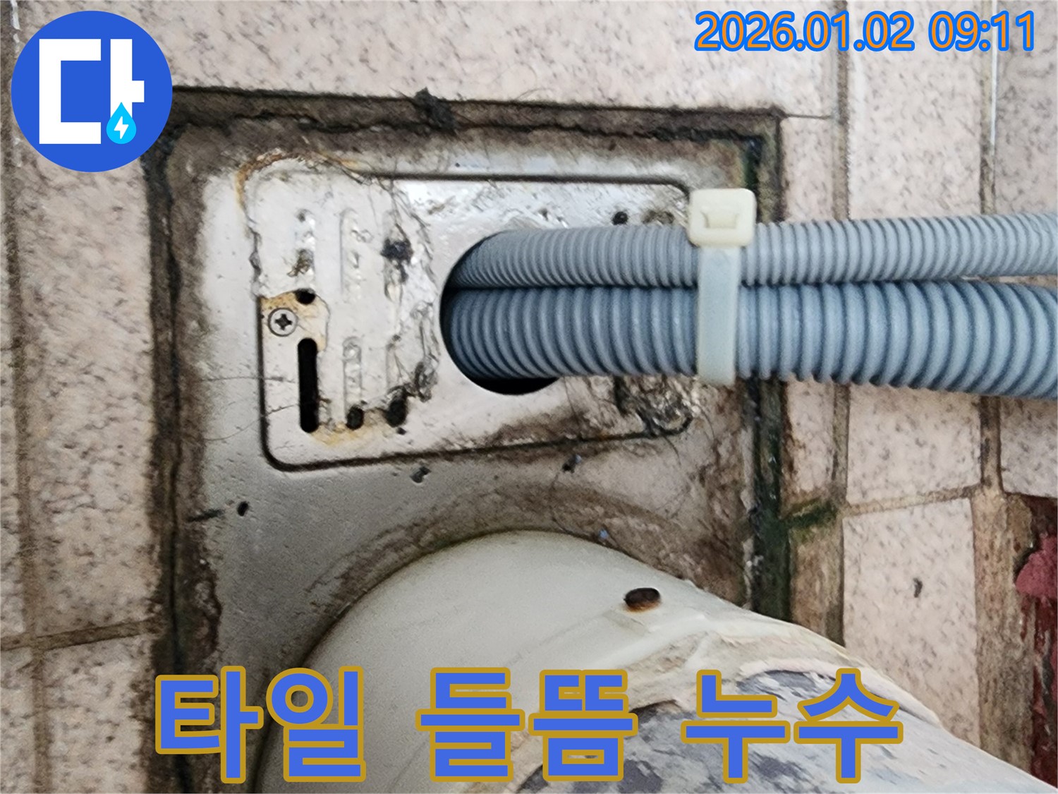 세탁기 배수구 주변 타일 들뜸으로 인한 누수 - 노원구 상계9동 누수 전문가가 타일 재시공 및 방수 처리로 해결했습니다.