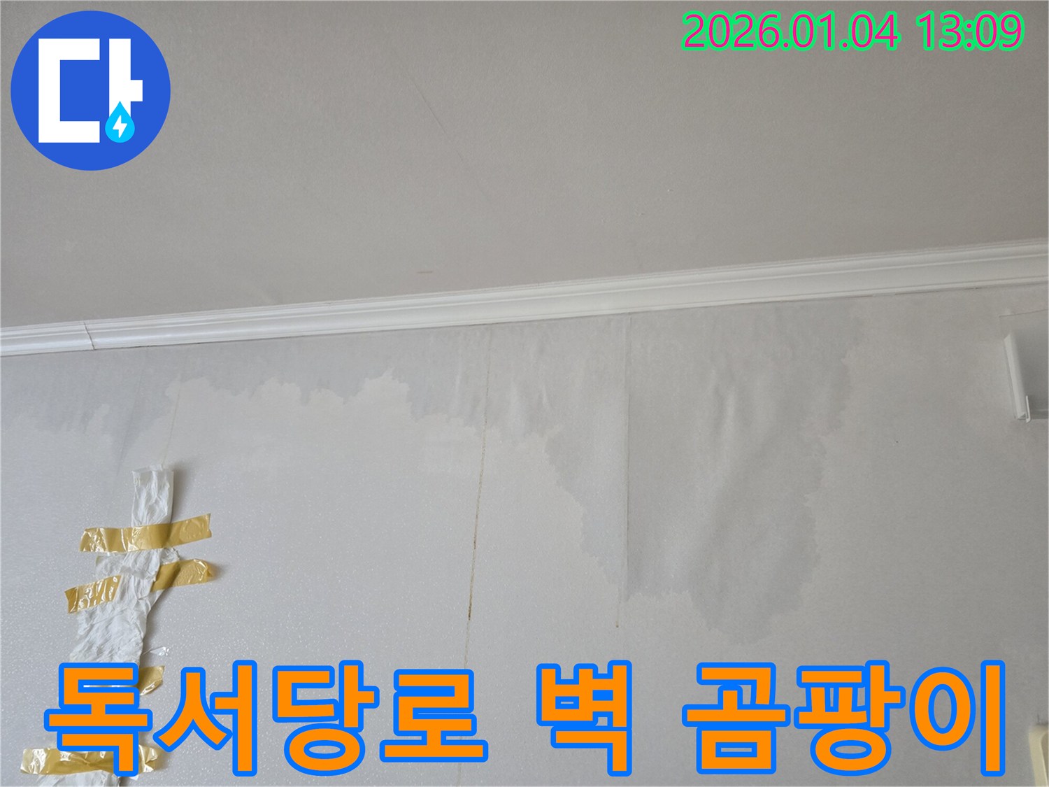 독서당로 주택 벽 곰팡이 - 누수 전문가가 정확한 탐지와 완벽한 시공으로 누수를 차단하고 곰팡이 재발까지 막았습니다.