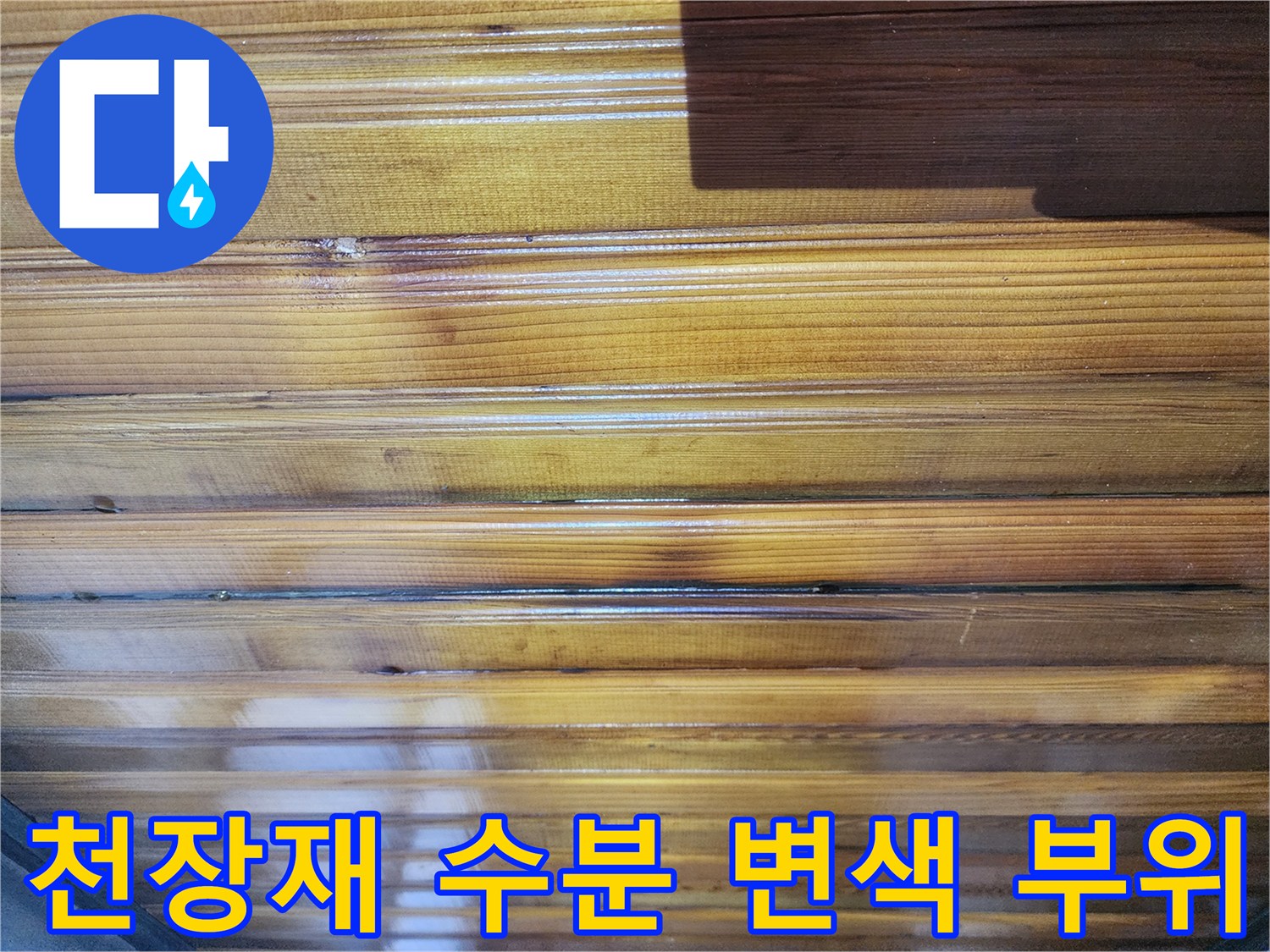 물샘 흔적으로 인해 어둡게 얼룩진 복도 천장의 나무 패널