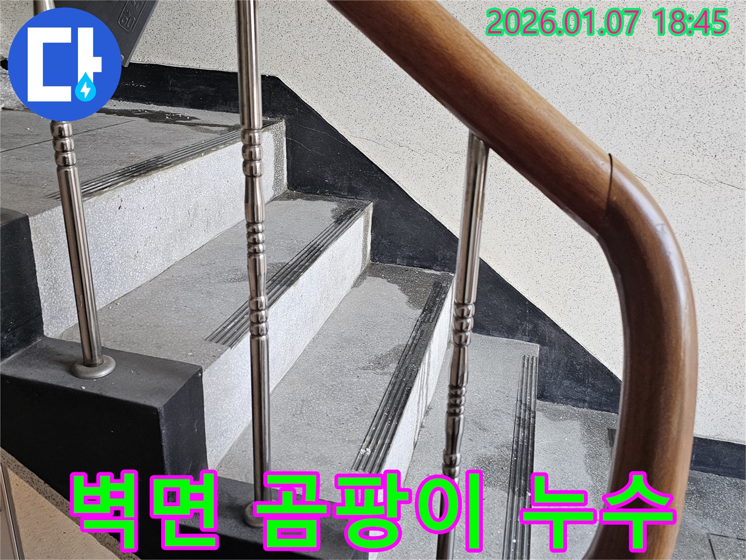 동두천 누수 - 중앙동 계단실 벽면 곰팡이 심각 누수 - 원인 파악 후 곰팡이 제거, 건강한 환경
