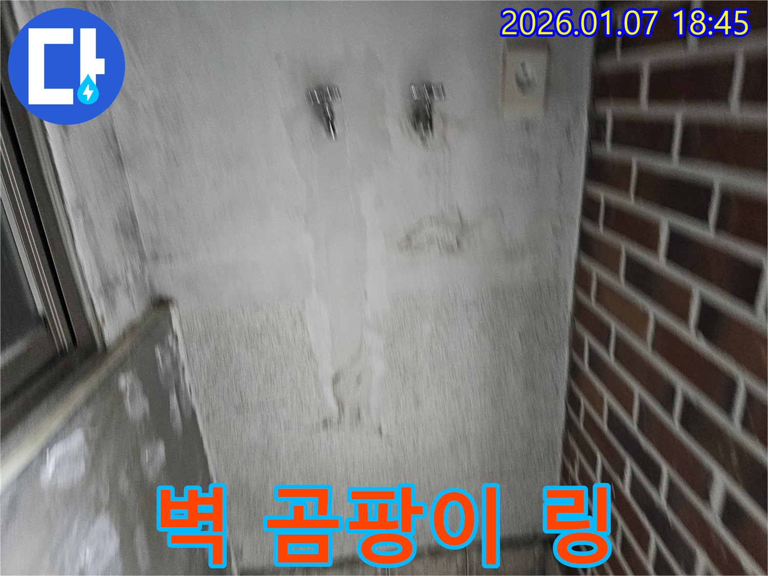 벽에 곰팡이 링 - 누수 신호탄! 곰팡이 제거보다 누수 해결!
