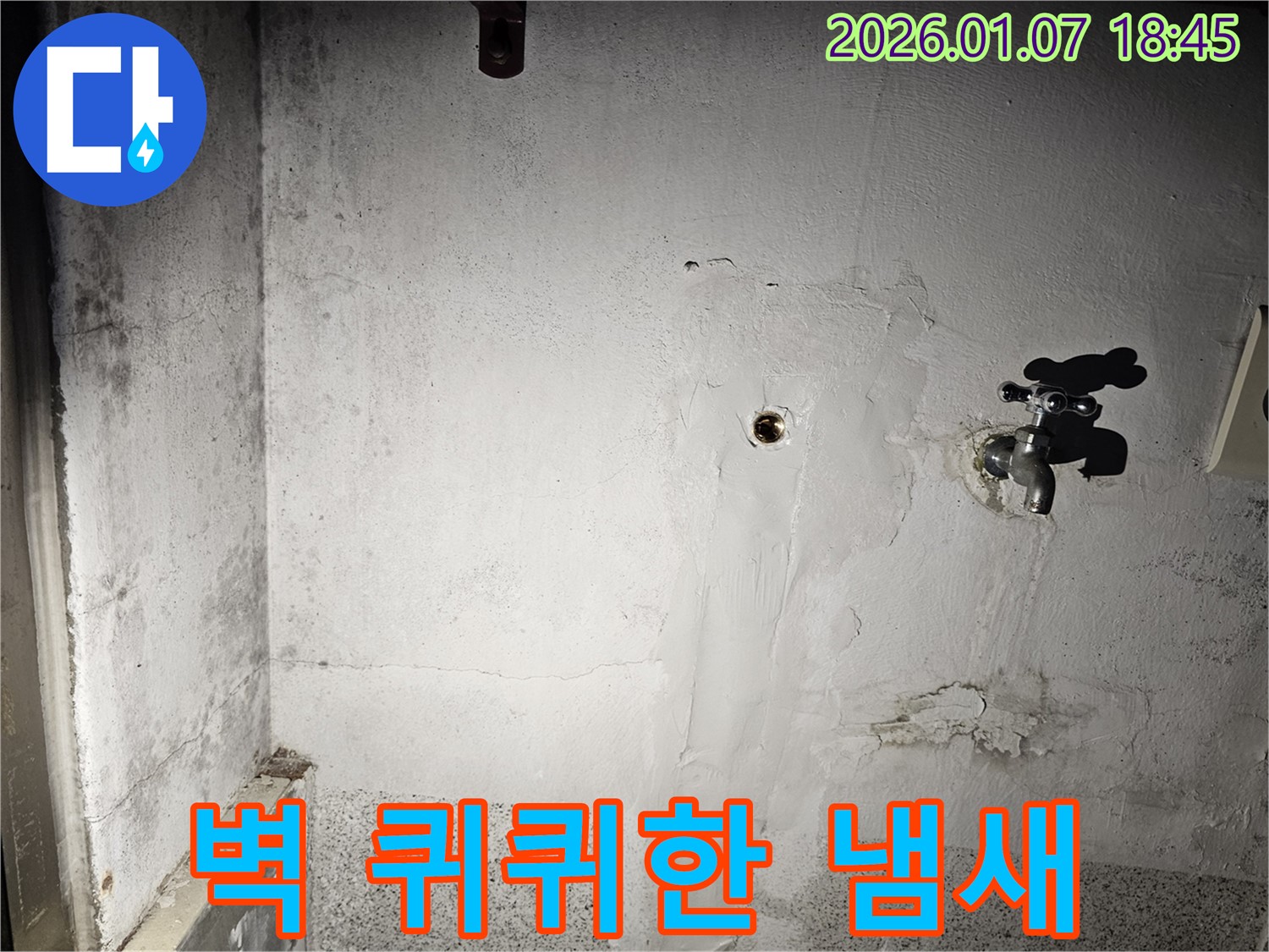 벽에서 나는 퀴퀴한 냄새 - 누수로 인한 곰팡이 번식을 의심해야 합니다 - 긴급 점검으로 냄새까지 제거하세요!