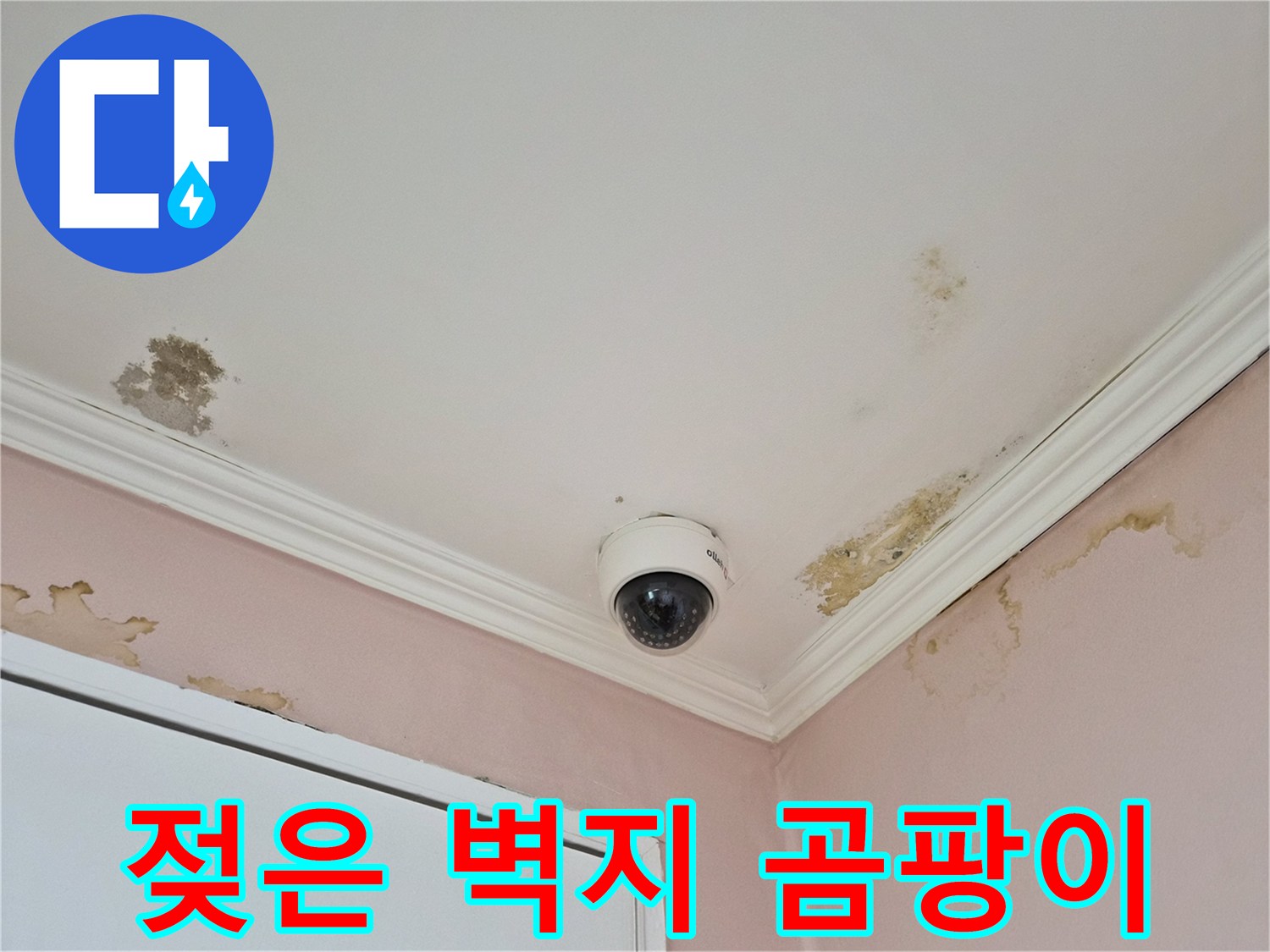 천장 모서리 부근의 곰팡이와 물에 젖은 얼룩